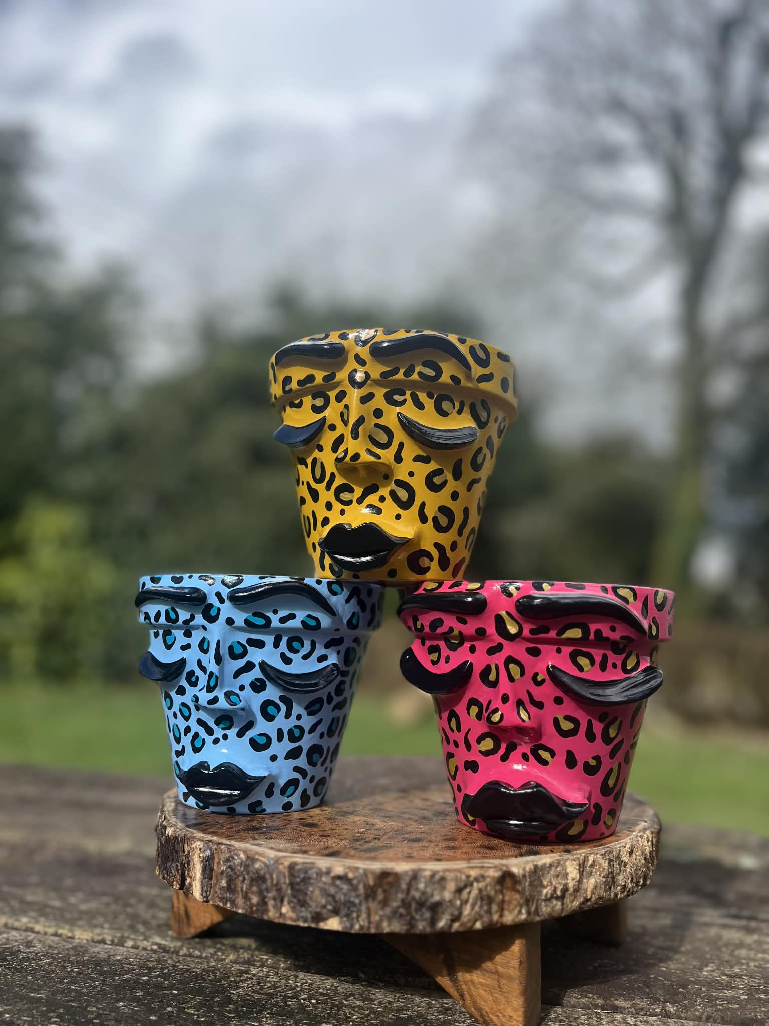 Pink Leopard Print Face Pot