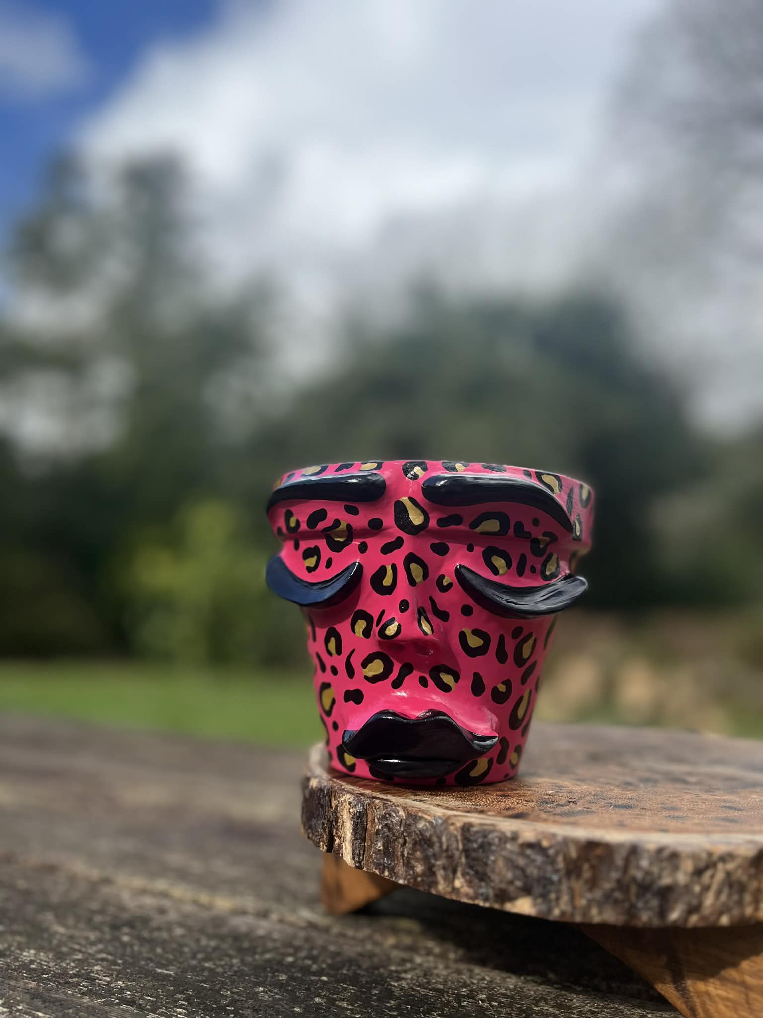 Pink Leopard Print Face Pot