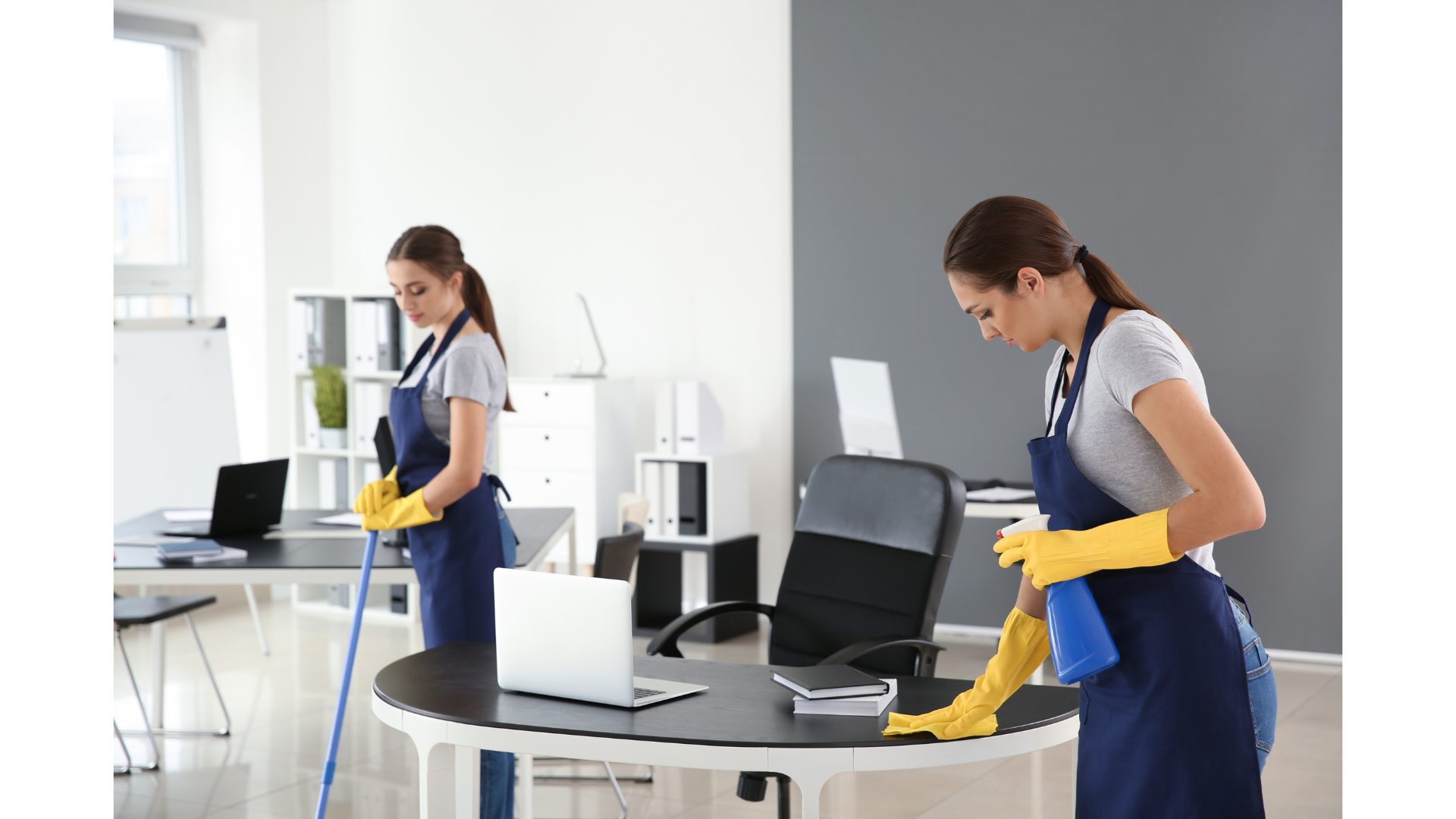 Small Business or Office Cleaning