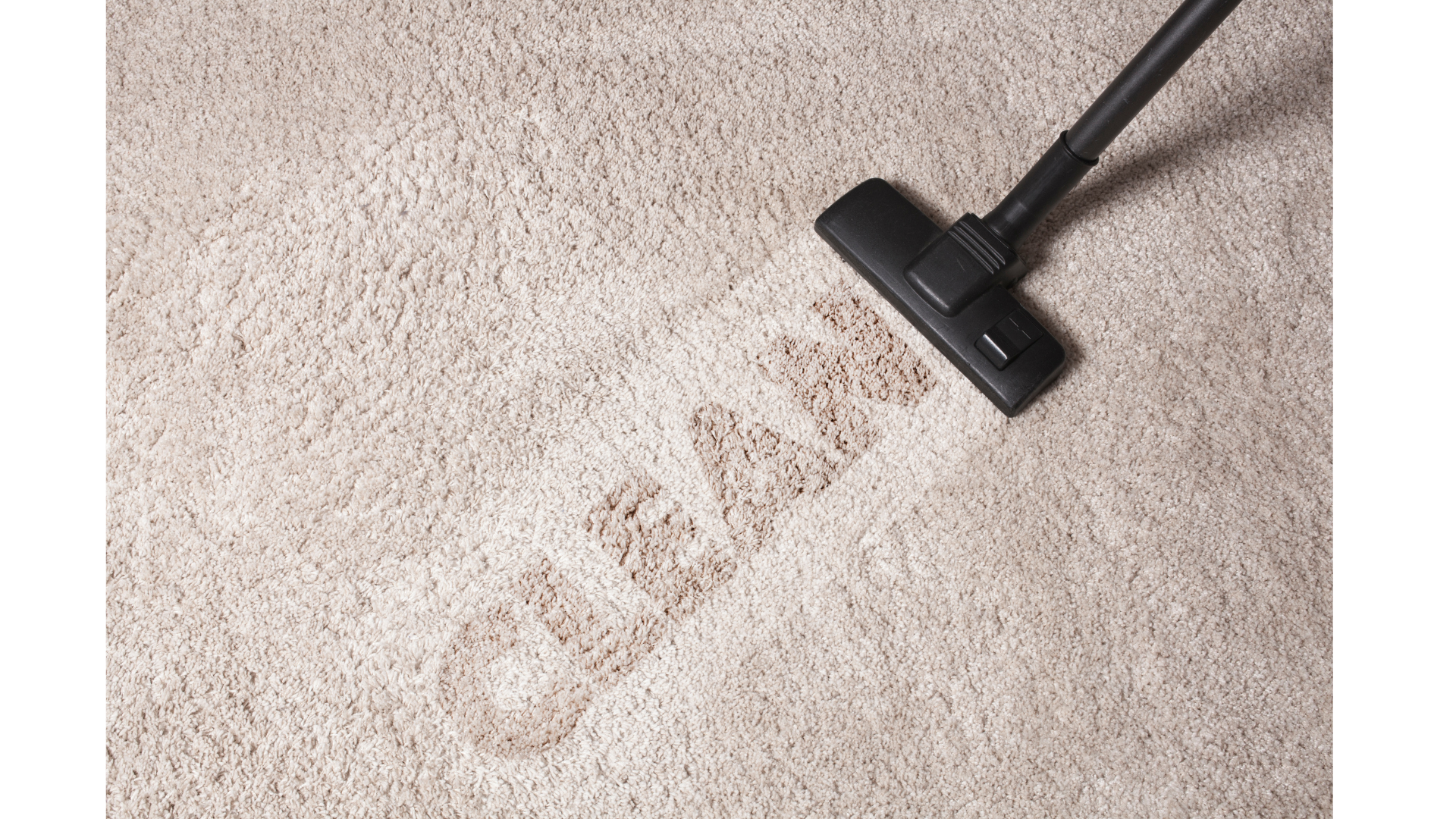 Carpet Cleaning Service