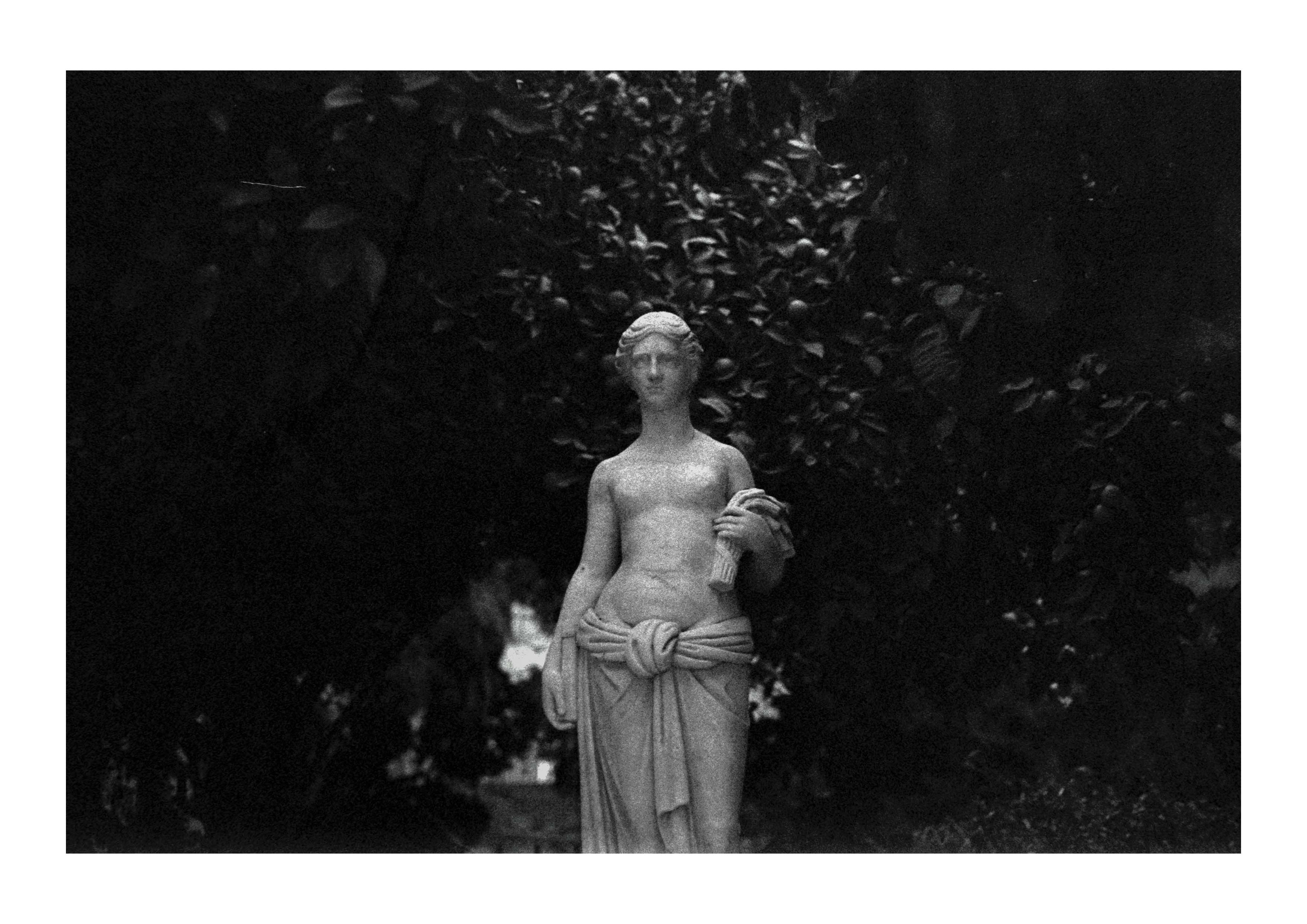 (36.7205862, -4.4190490)