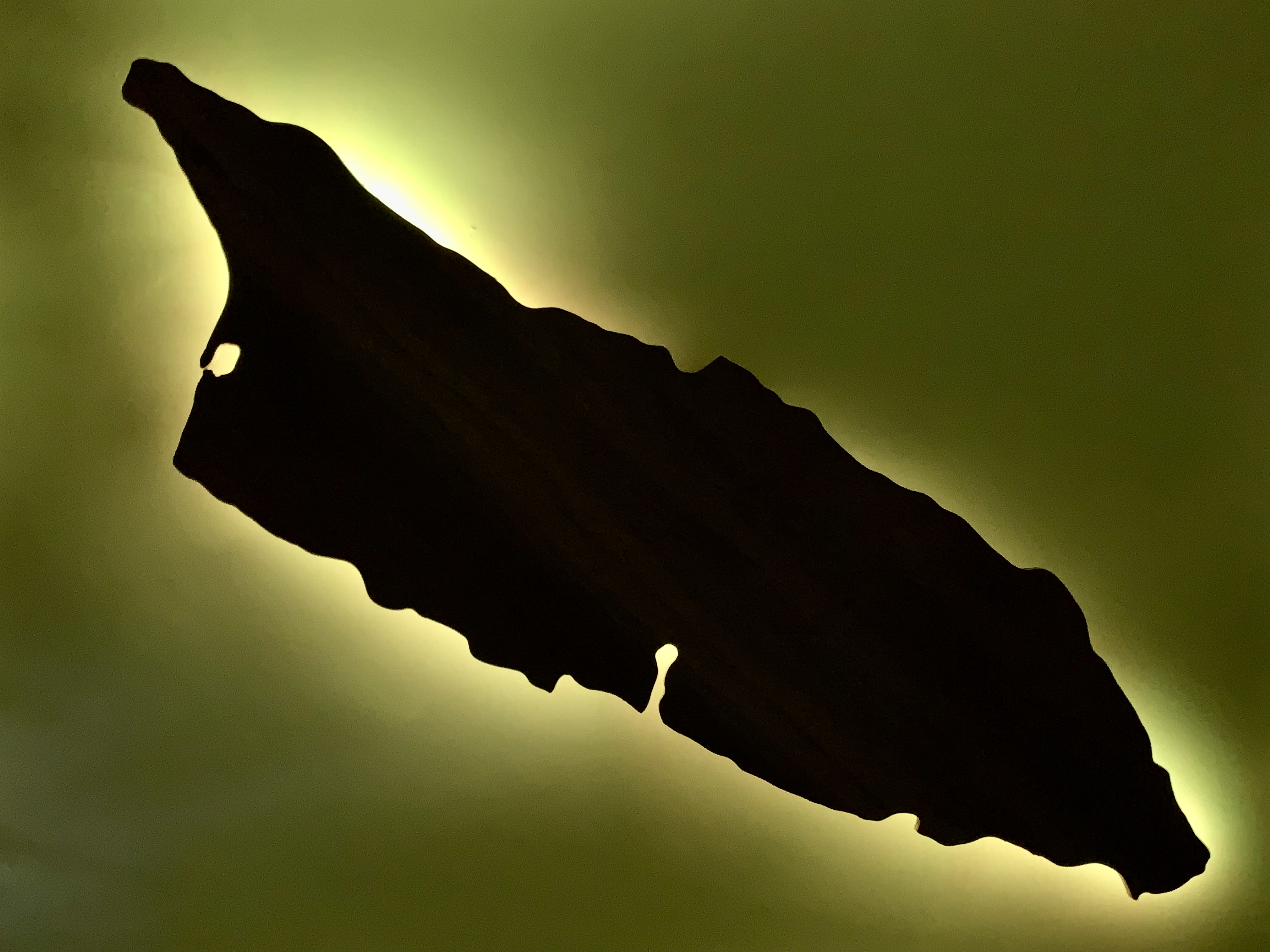 Aruba met een lichte/donker kleur hout (Klein).