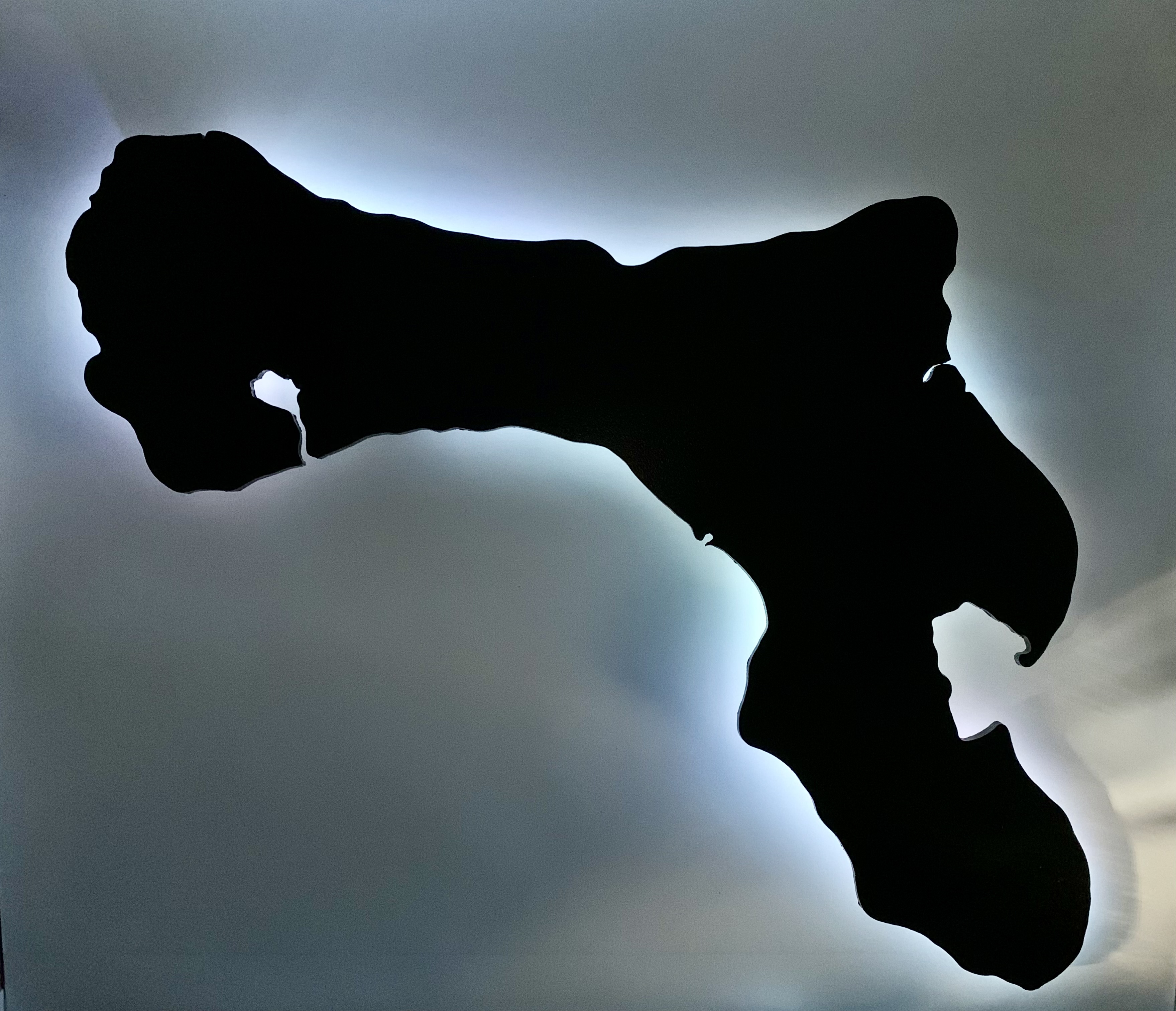 Bonaire met een kleur naar keuze uit de opties (Klein).