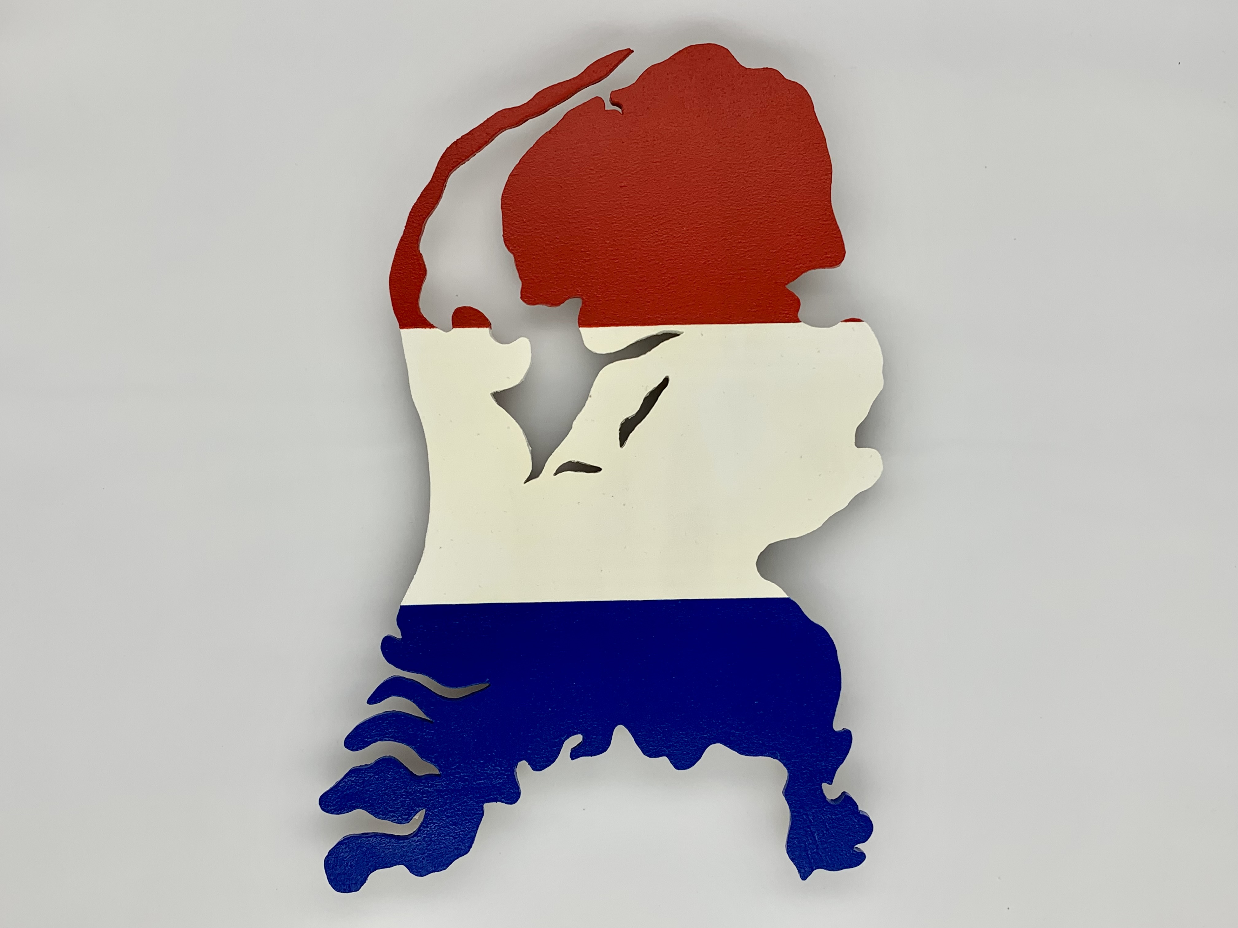 Nederland met een jasje van de vlag (Klein).
