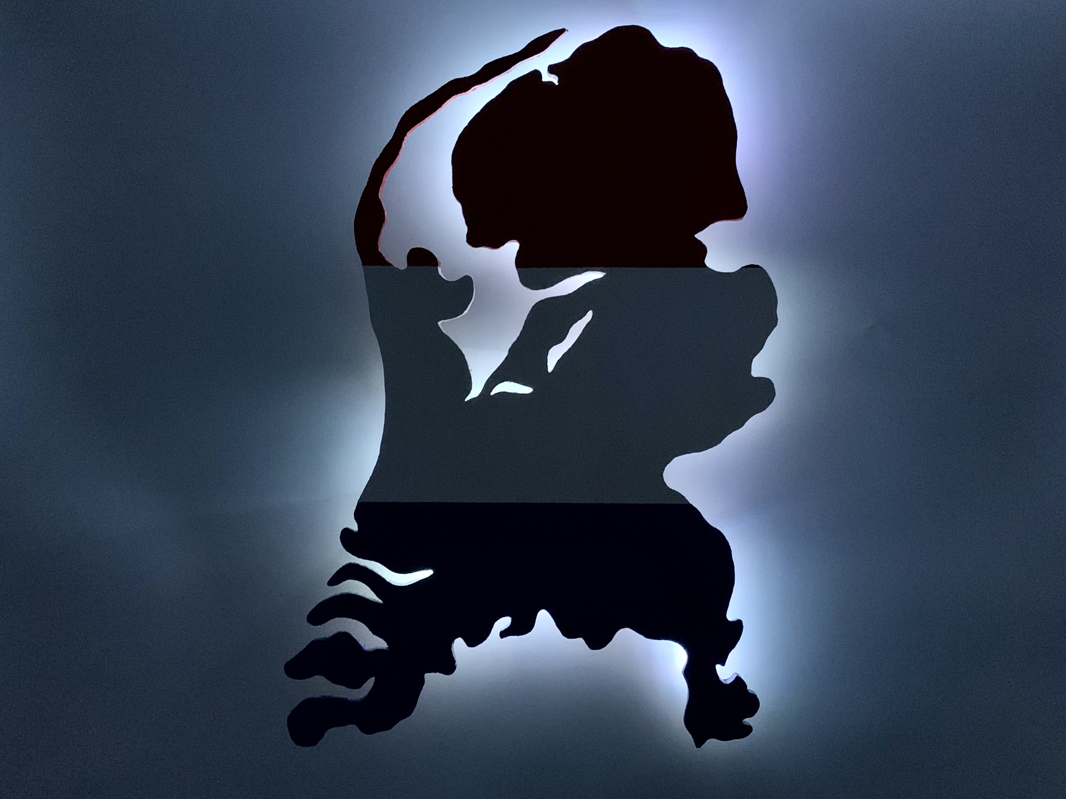 Nederland met een jasje van de vlag (Klein).