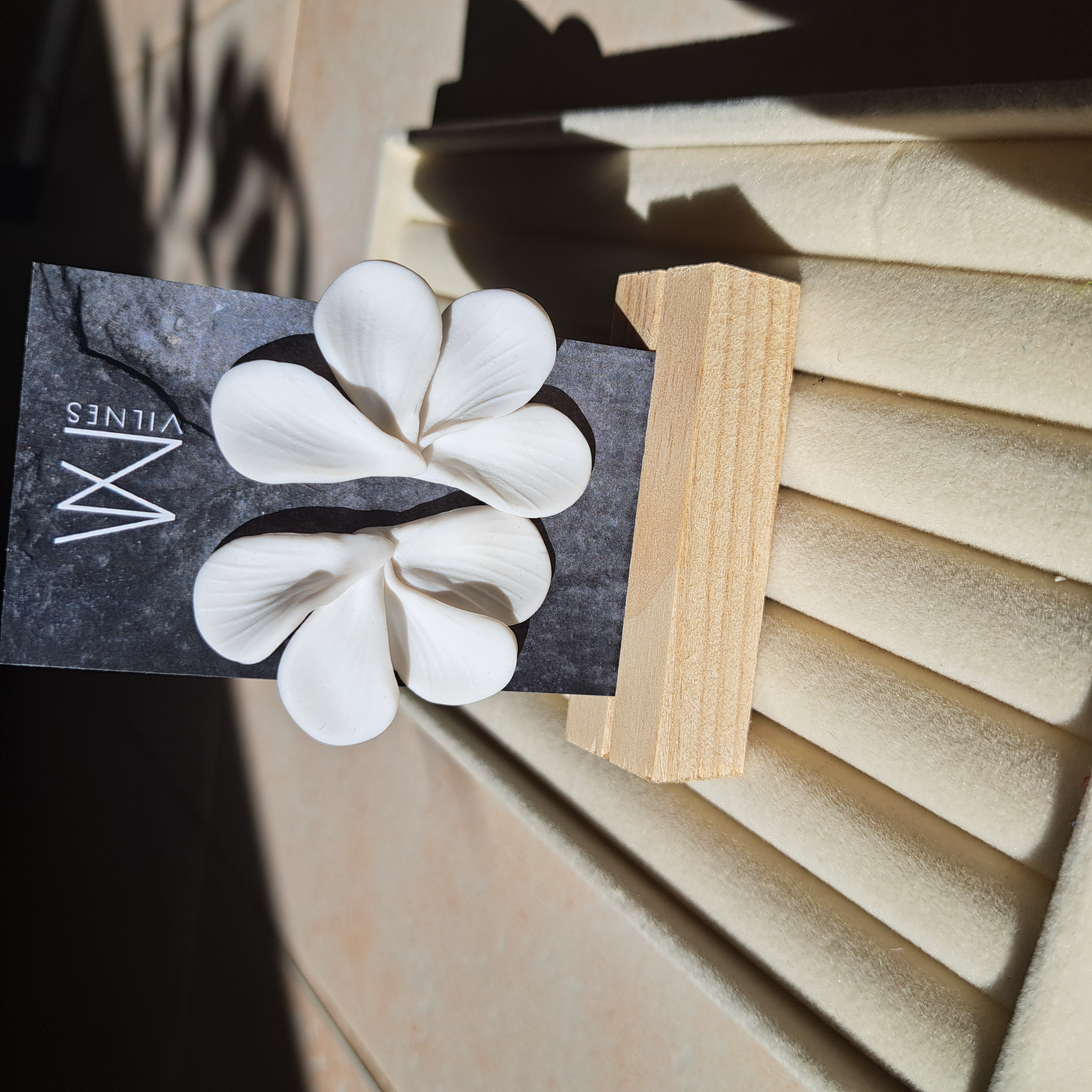 Žiedlapiai ausyse (keturios spalvos)