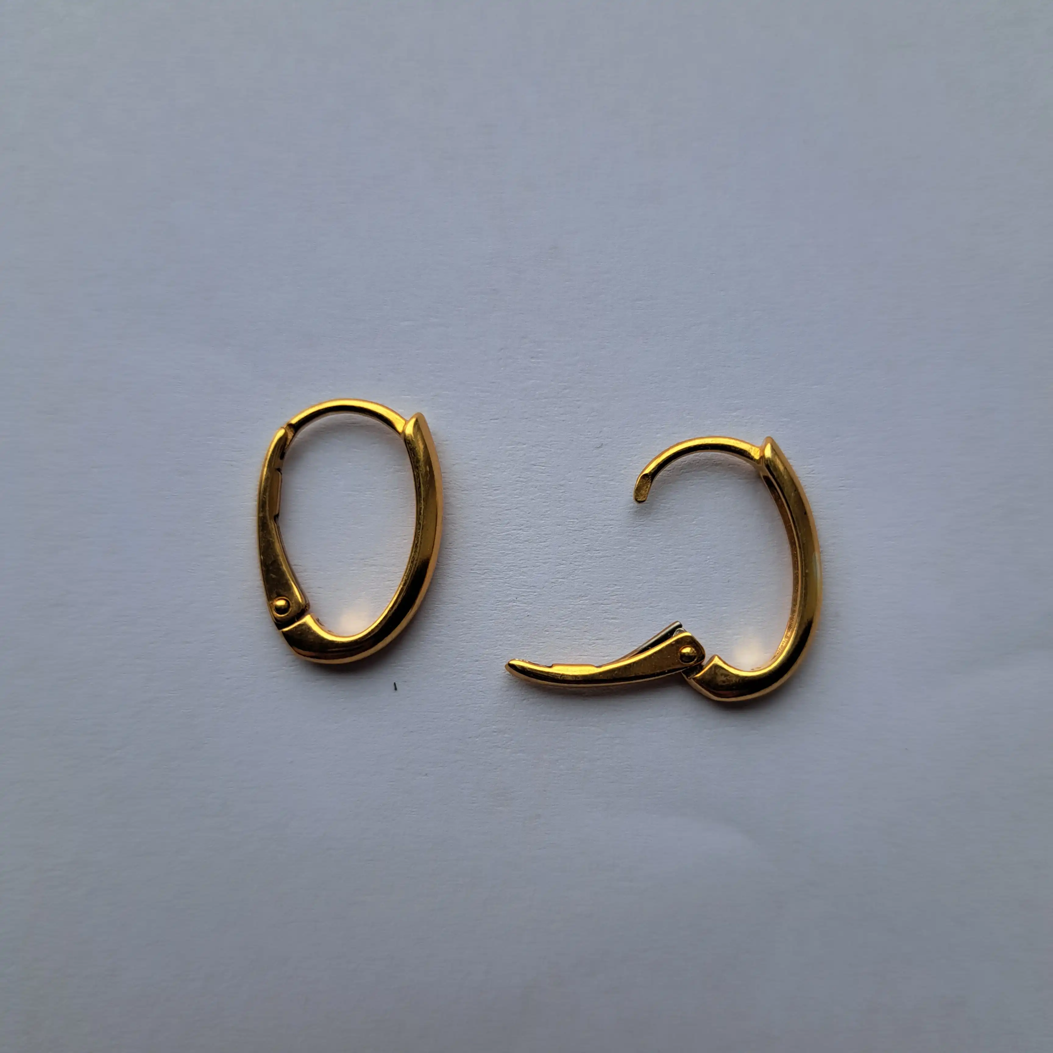 Ryškūs auskarai (neoninė oranžinė)