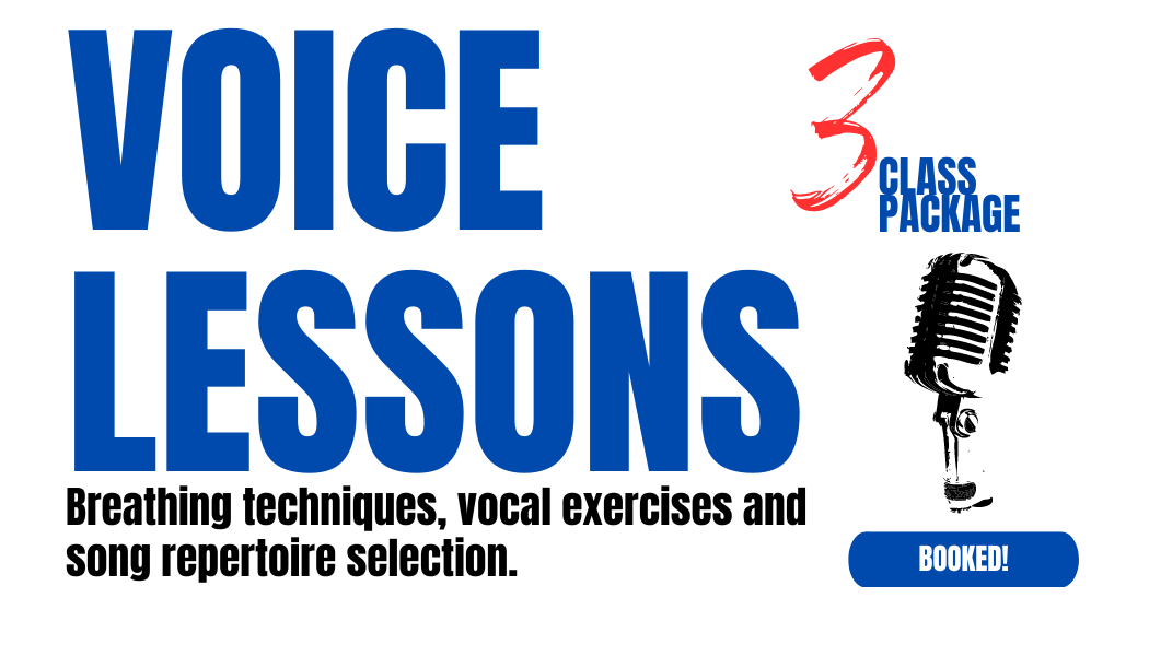 Voice Lessons x 3