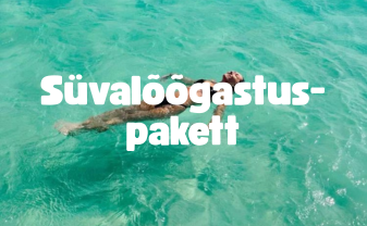 Süvalõõgastuspakett