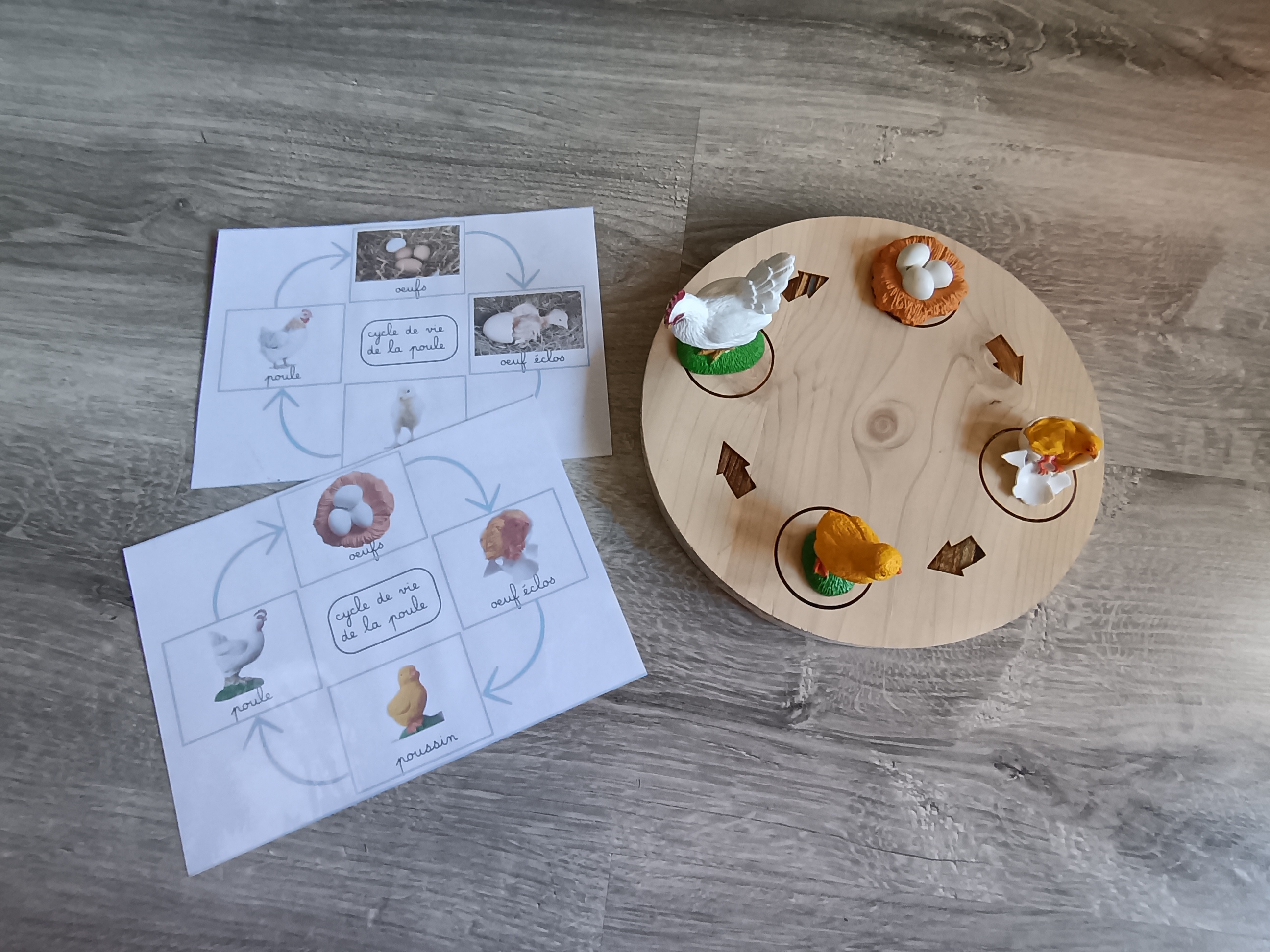 Pack de 6 cycles de développement