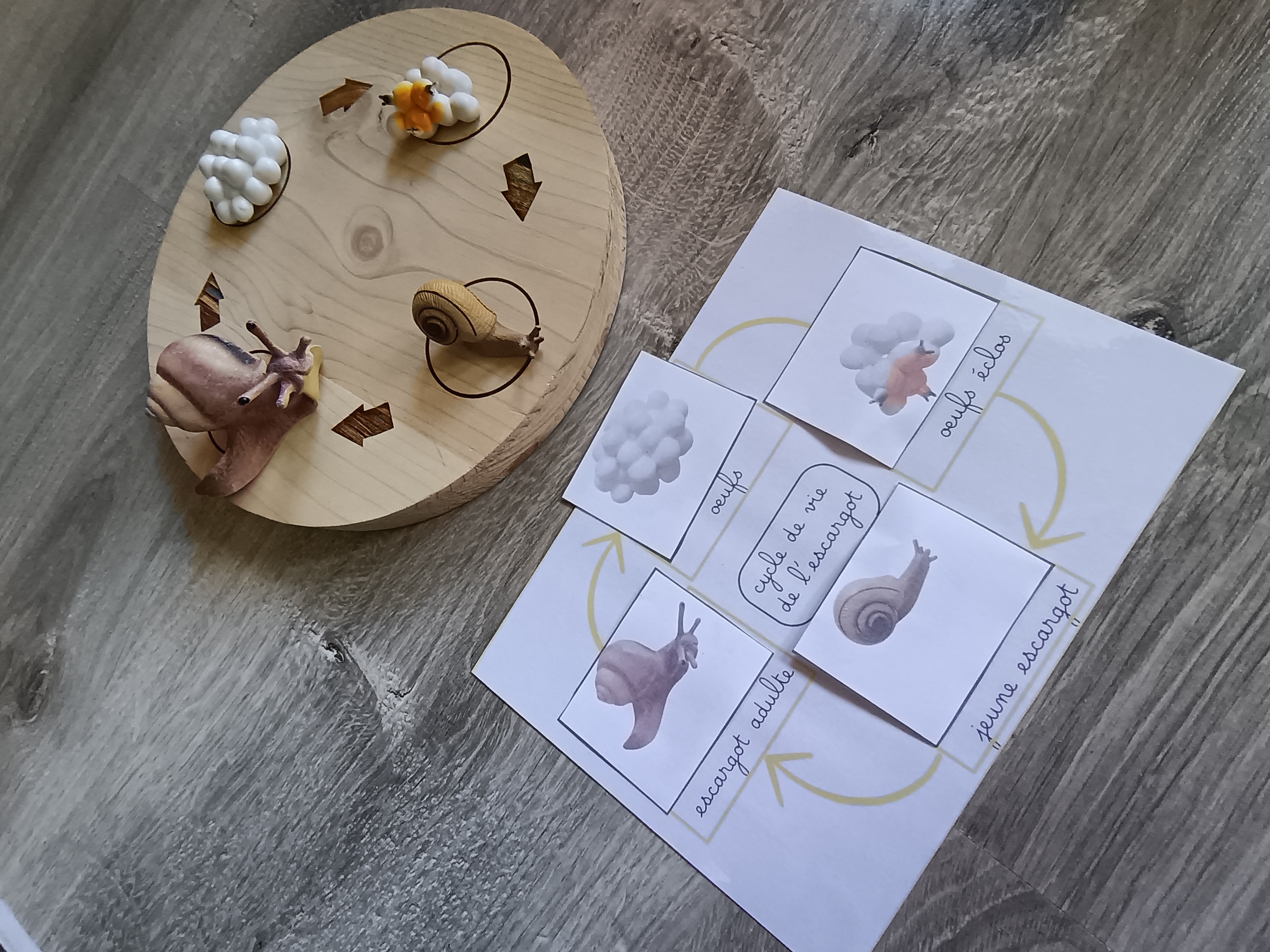 Pack de 6 cycles de développement