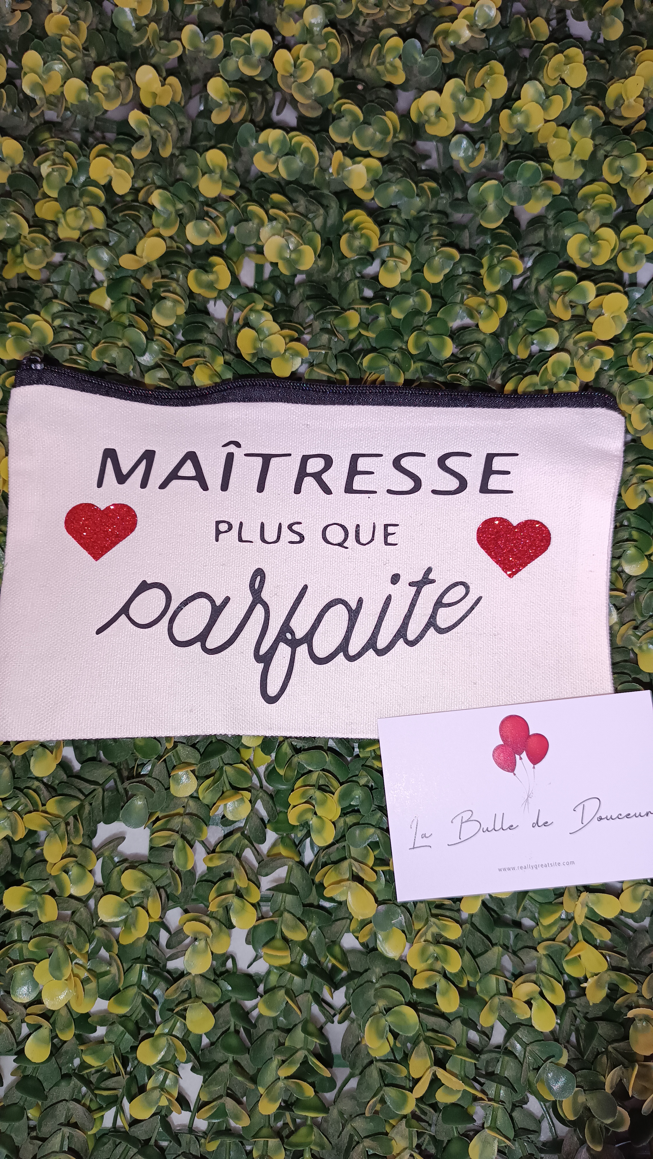 Pochette "Maitresse plus que parfaite"