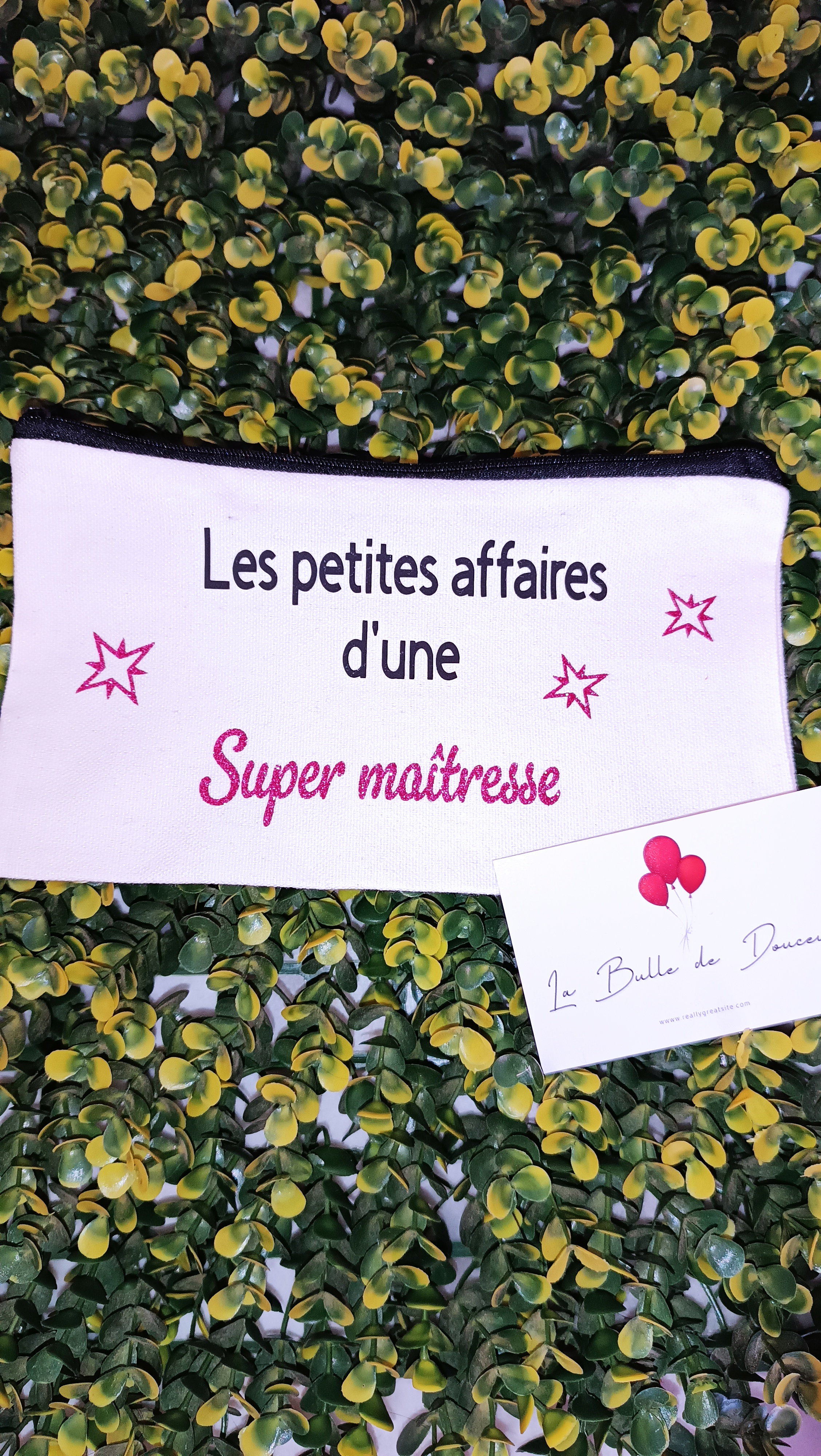 Pochette "Les petites affaires d'une super maitresse"