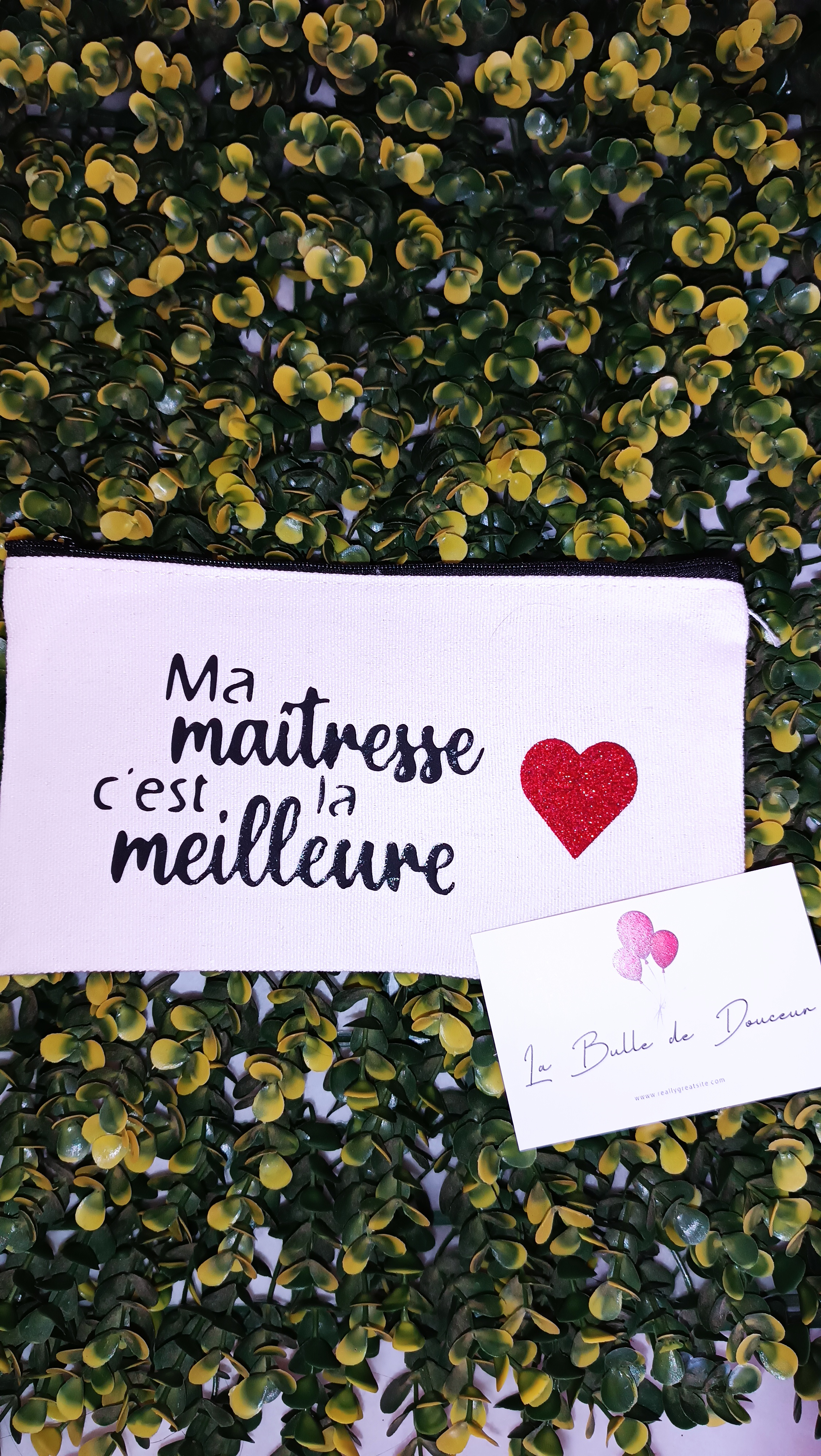 Pochette "Maitresse plus que parfaite"