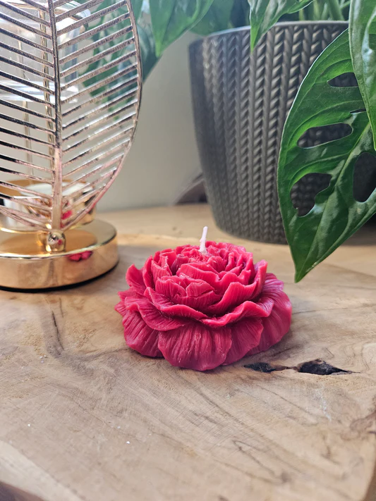 Bougie pivoine