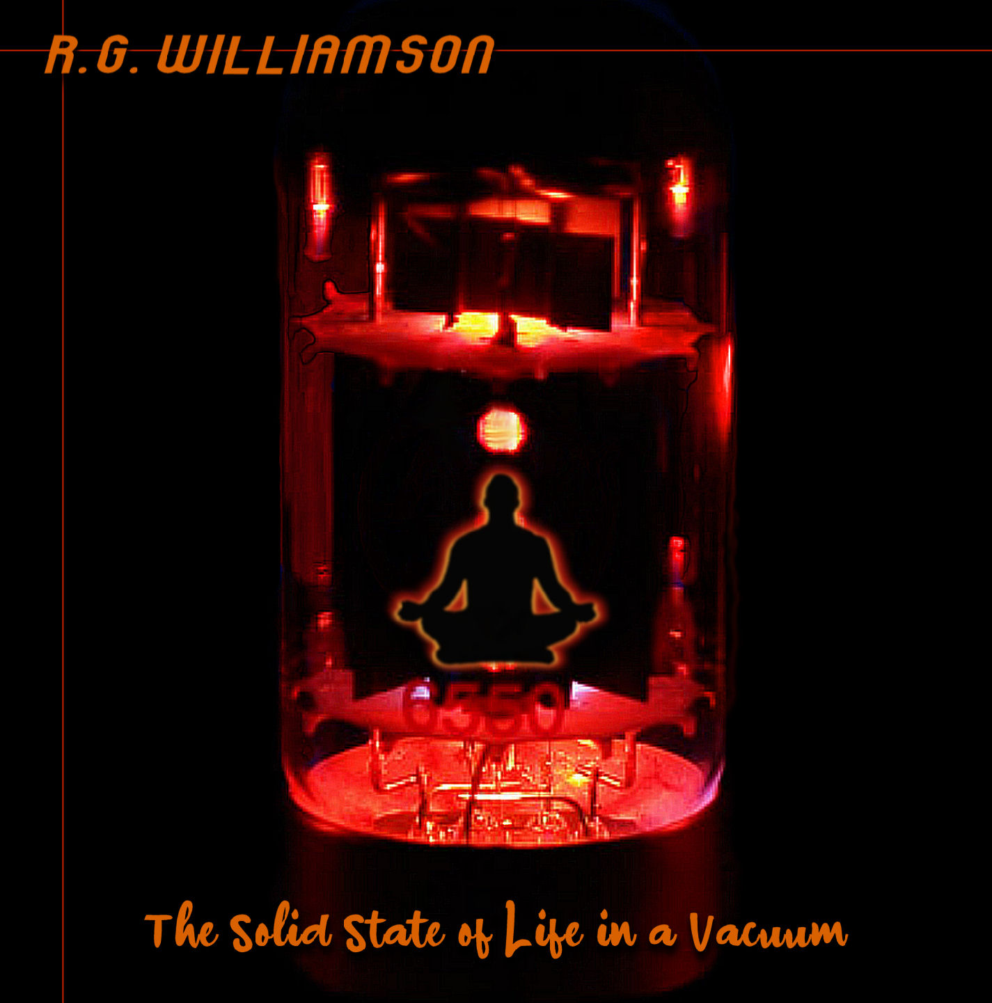R.G. Williamson - The Solid State of Life in a Vacuum