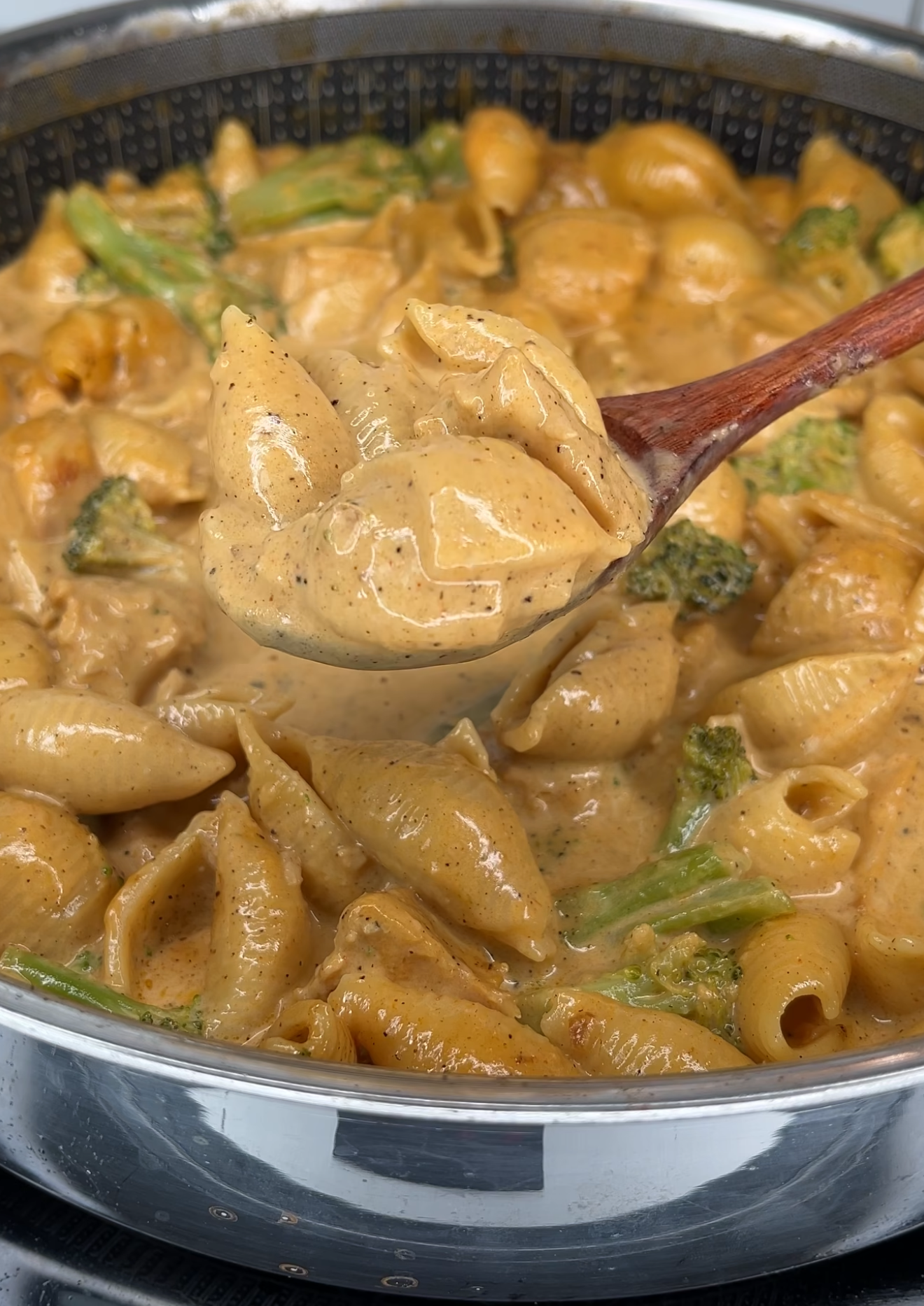 Creamy Shell Pasta with Chicken & Broccoli