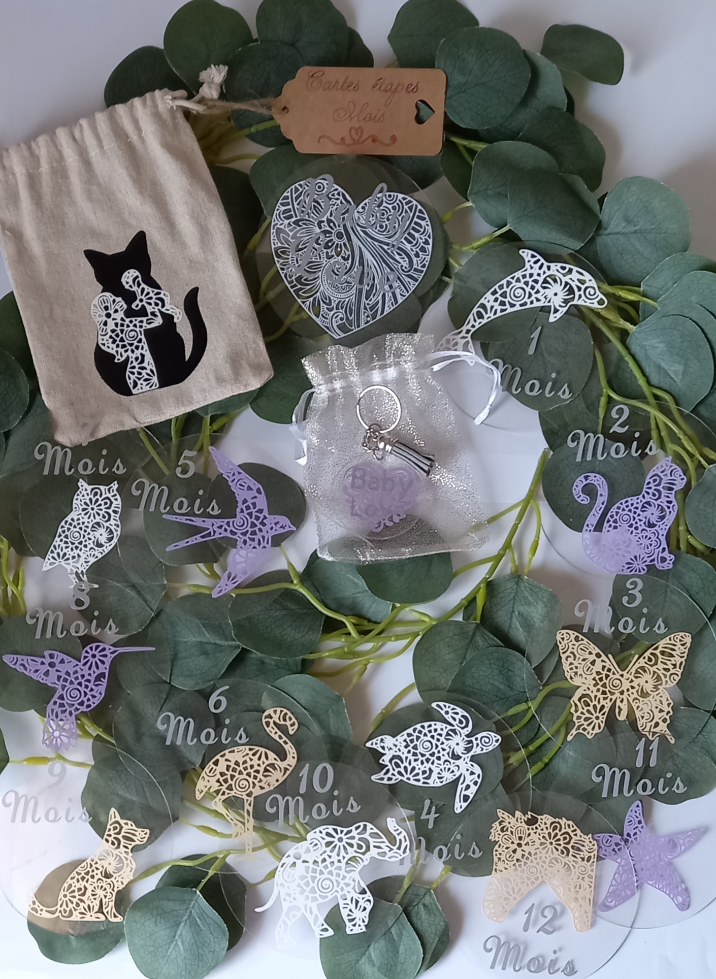 Cartes ou disques étapes animaux