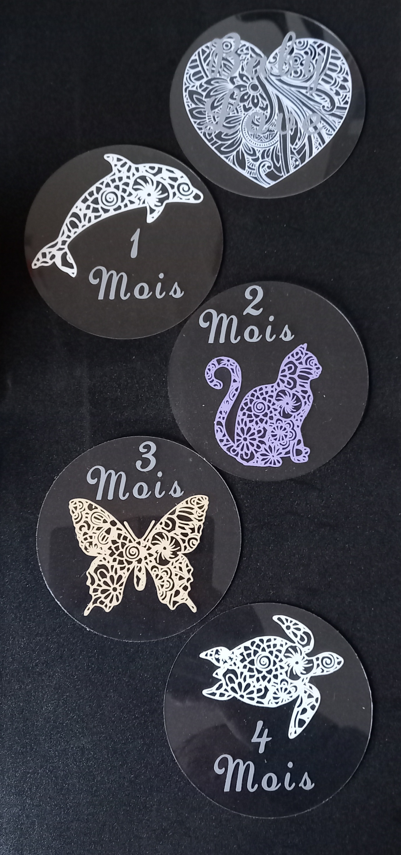 Cartes ou disques étapes animaux