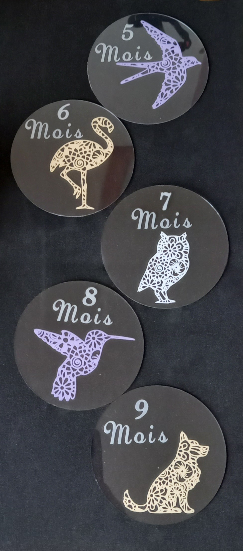 Cartes ou disques étapes animaux