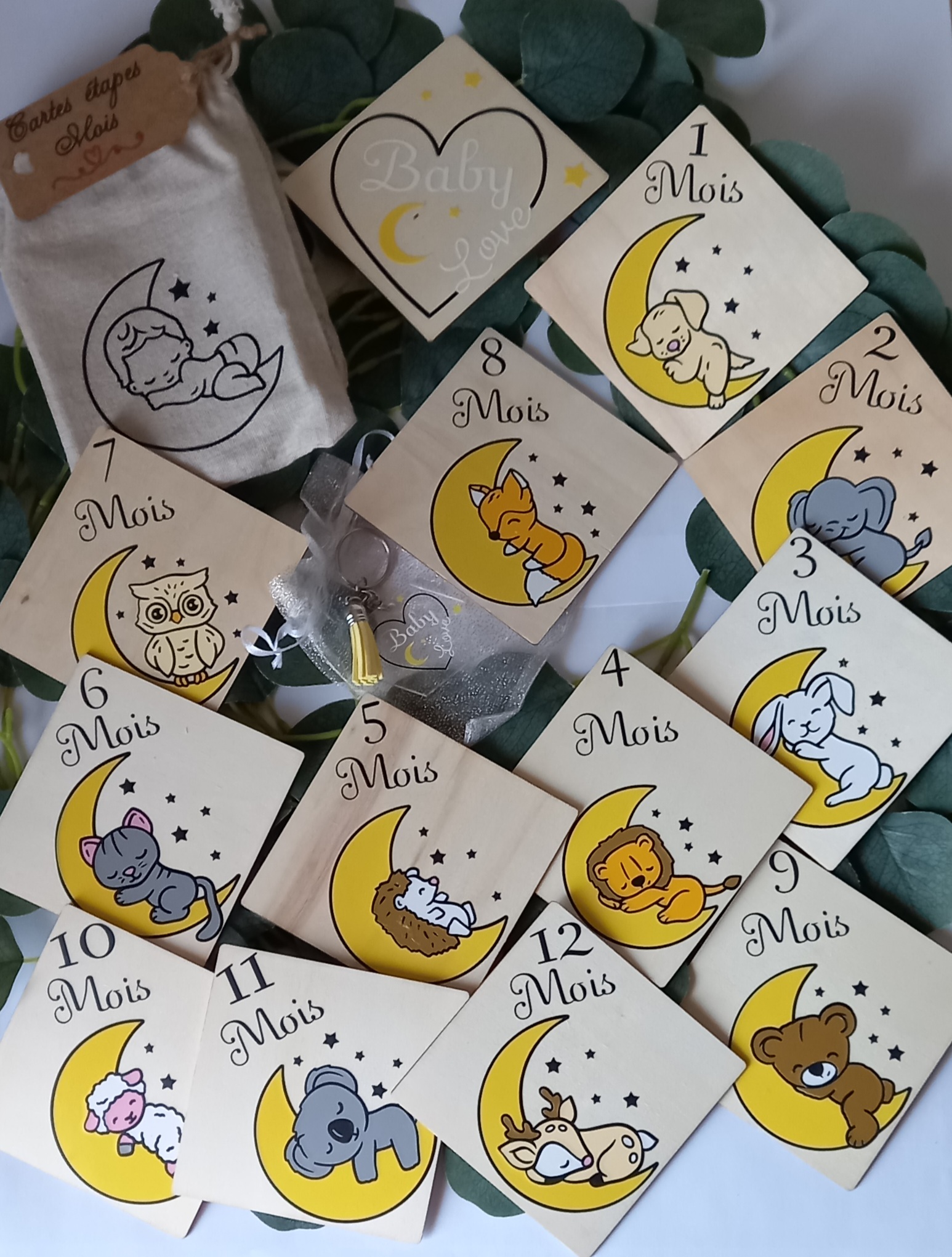 Cartes étapes animaux sur lune
