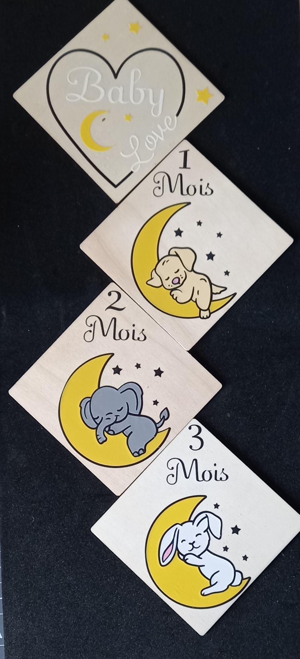 Cartes  étapes animaux sur lune