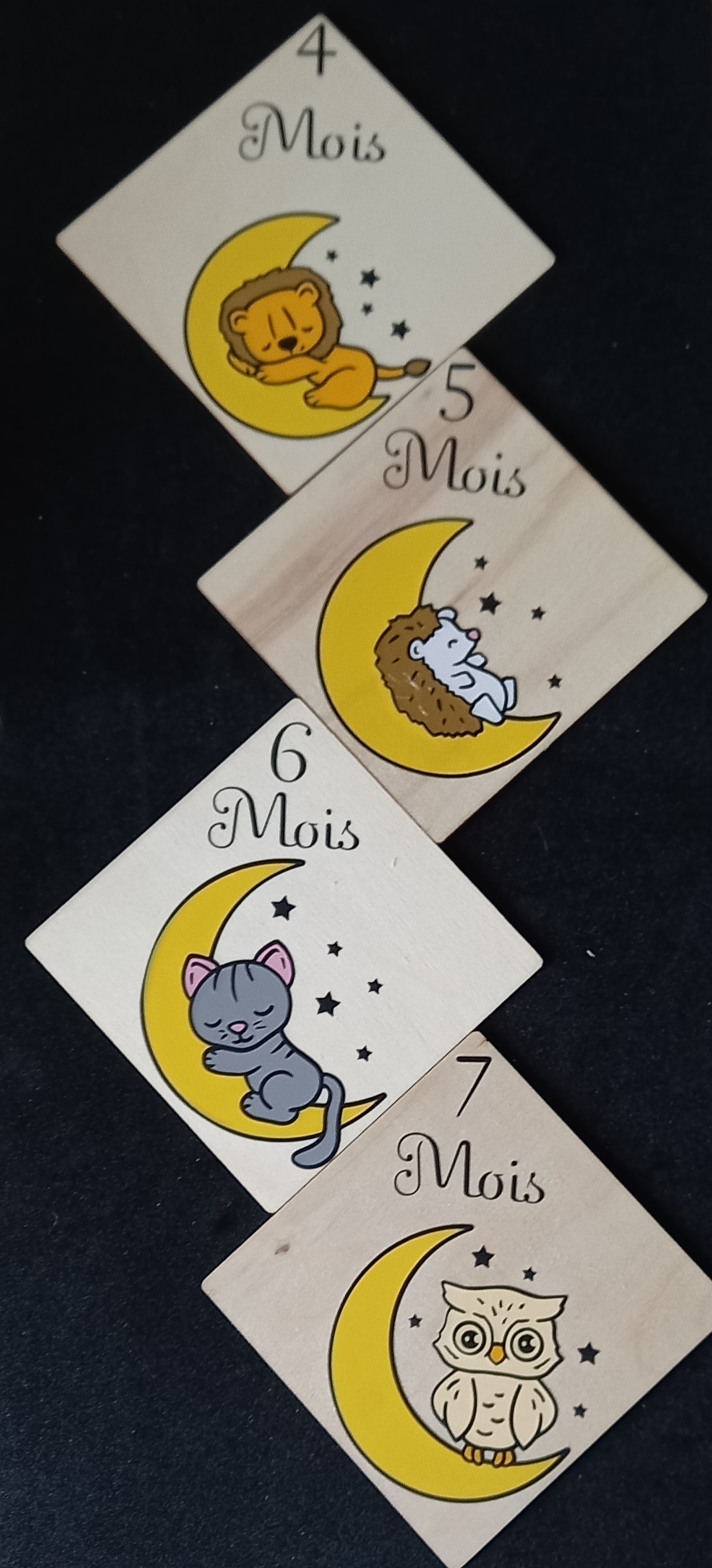 Cartes  étapes animaux sur lune