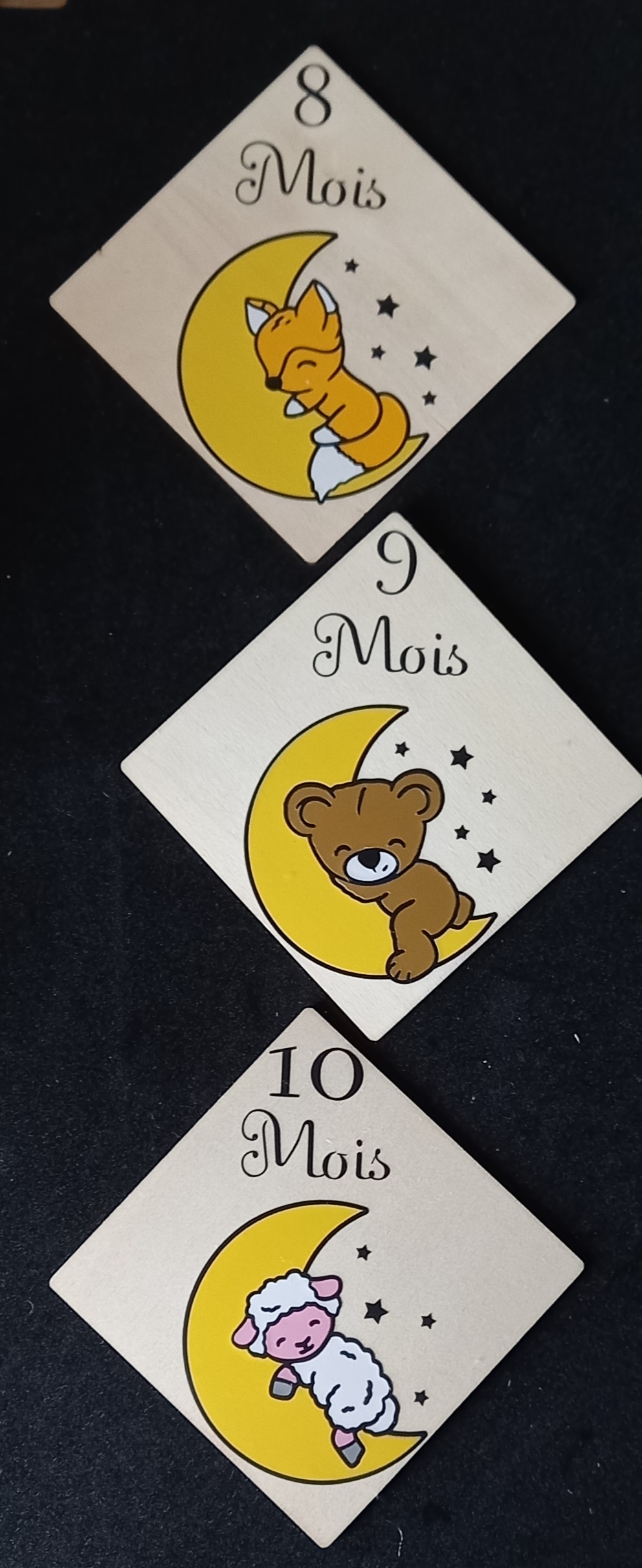 Cartes  étapes animaux sur lune