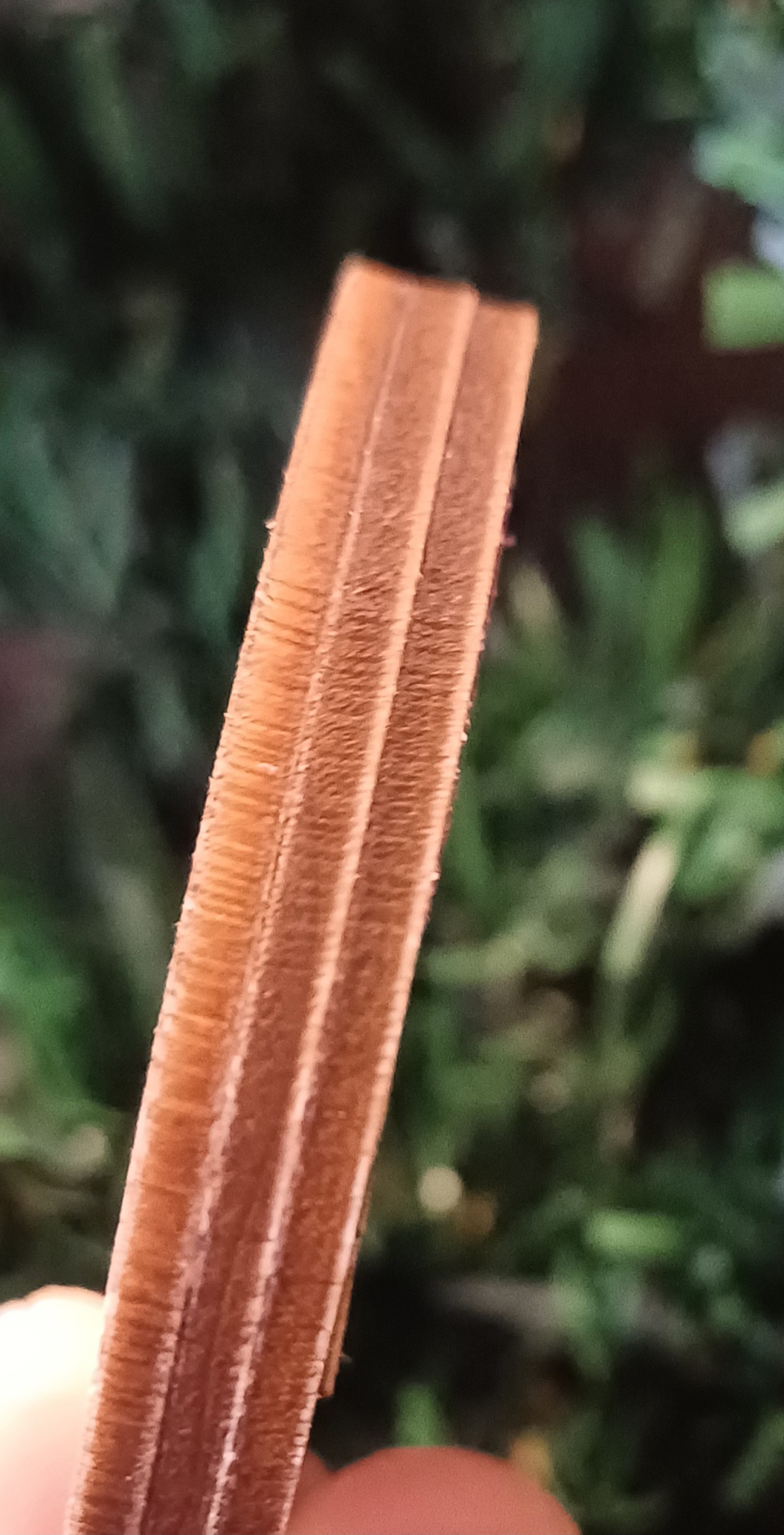 Suspension de sapin " cerf foret"