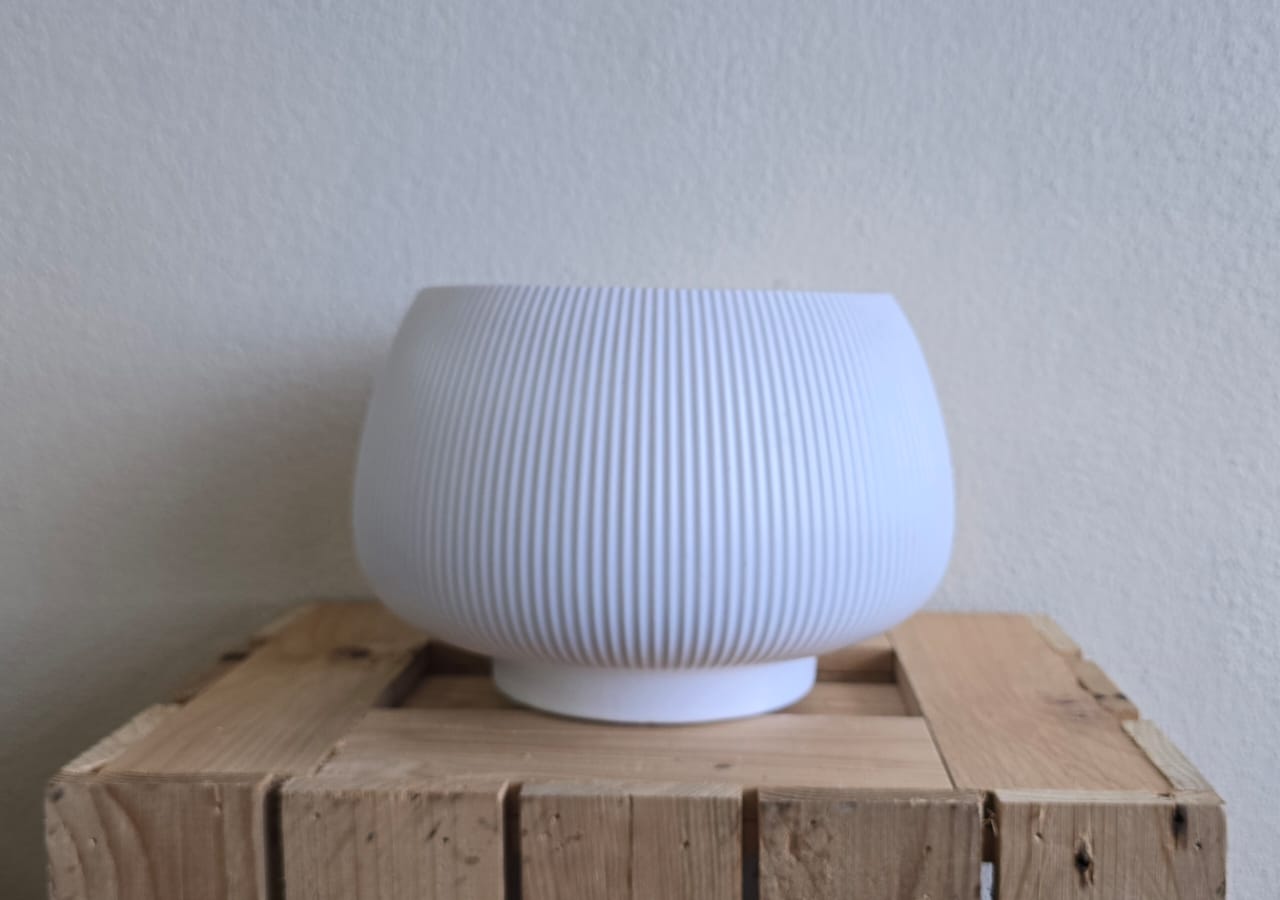 Minimalist White Ceramic Vase