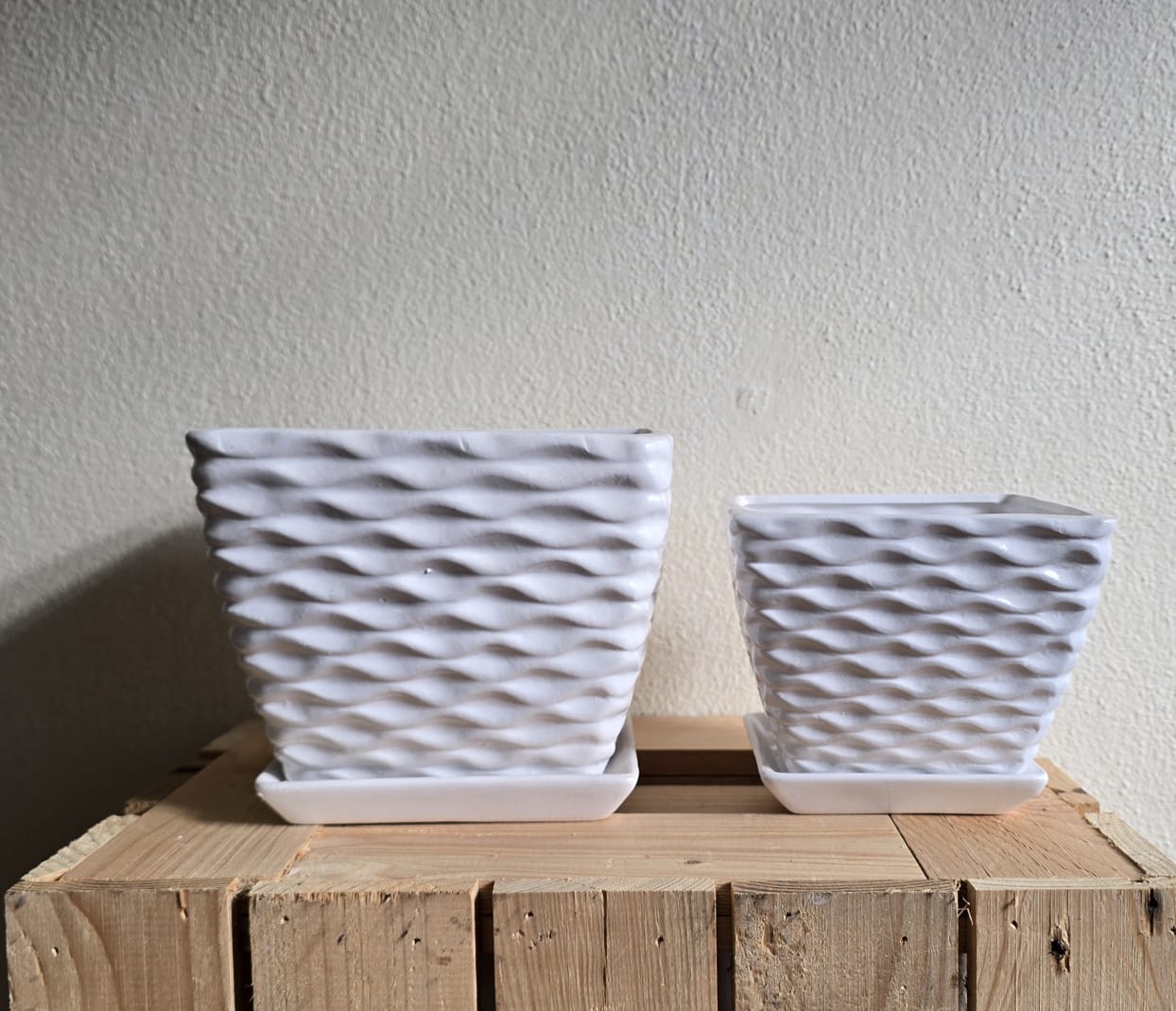 Modern White Textured Ceramic Planters