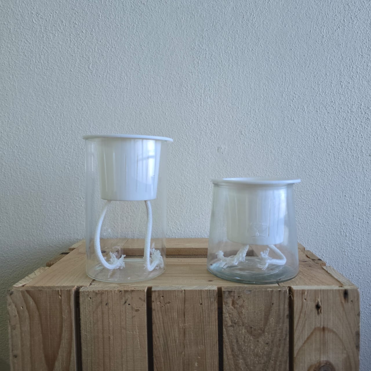 Self-Watering Glass Planter Set