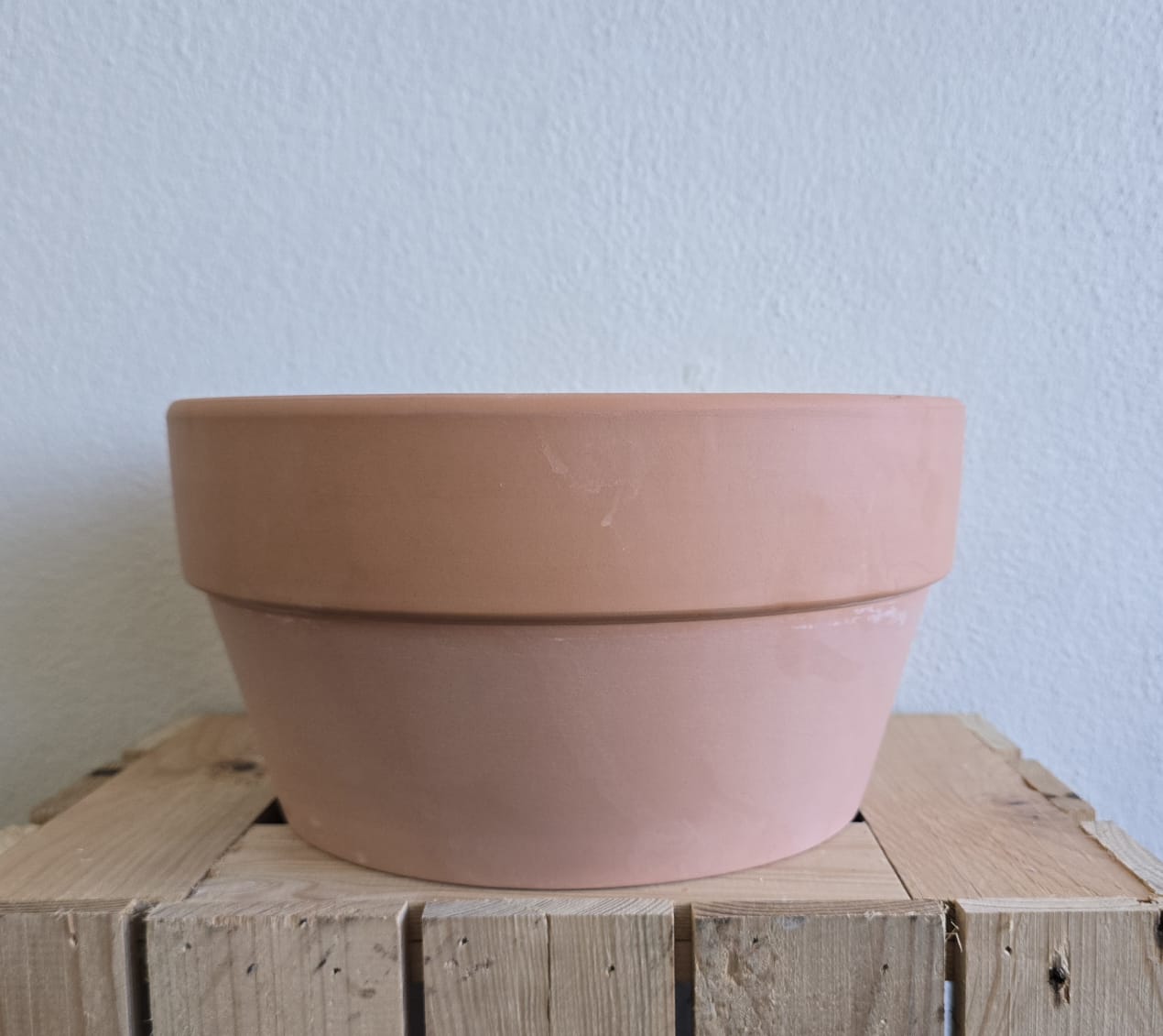 Low Terracotta Planter