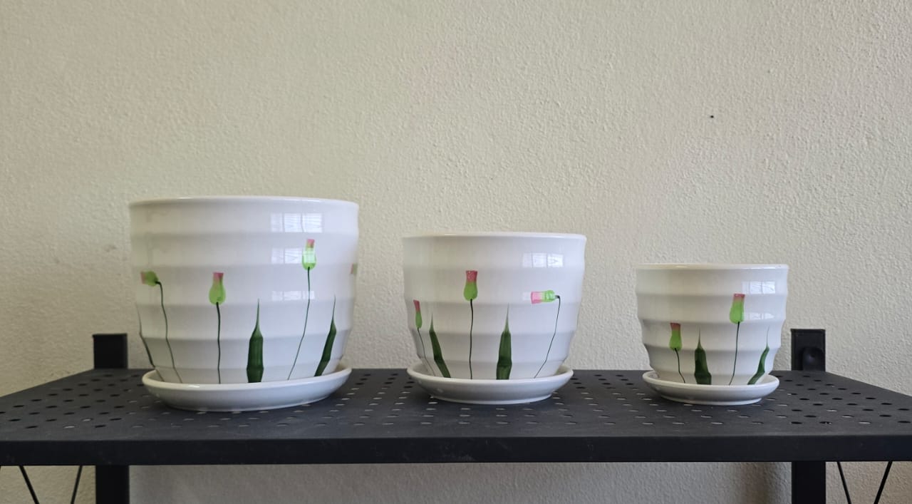 Ceramic Planter Pot Set