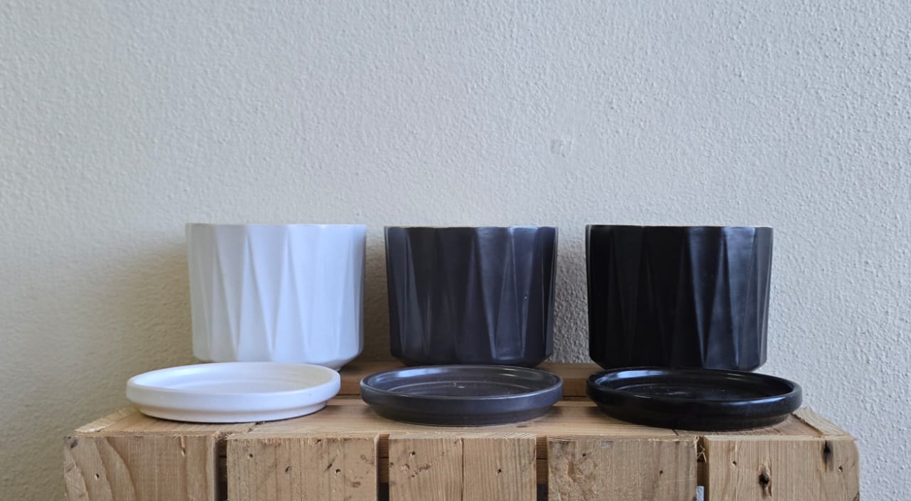 Modern Ceramic Planters Set