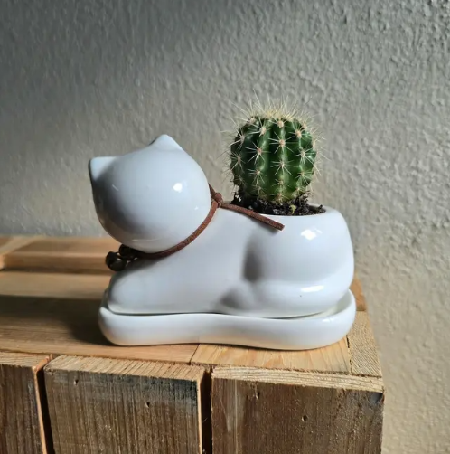 Ceramic Aminal Theme Plant