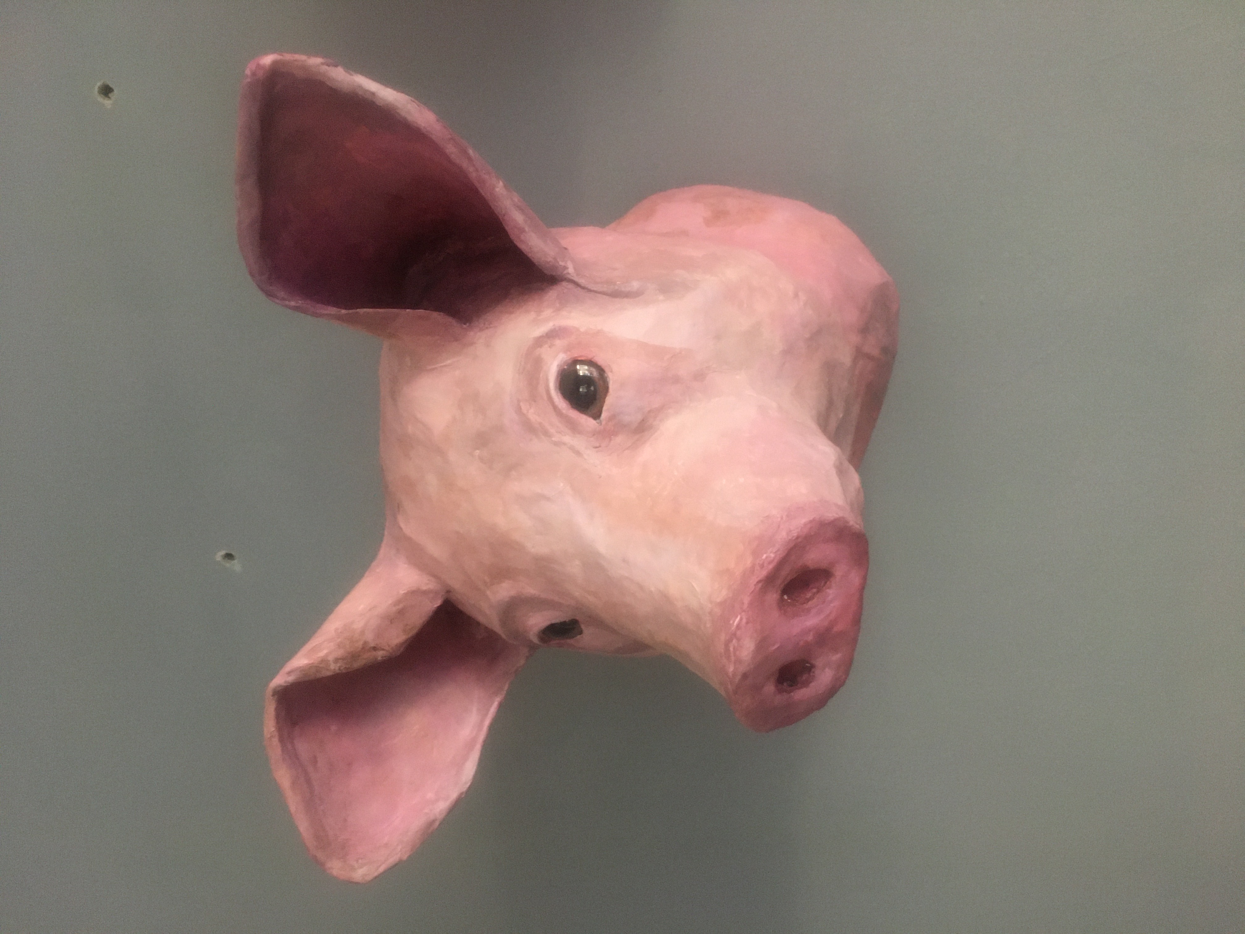 Paper Mache Pig Head