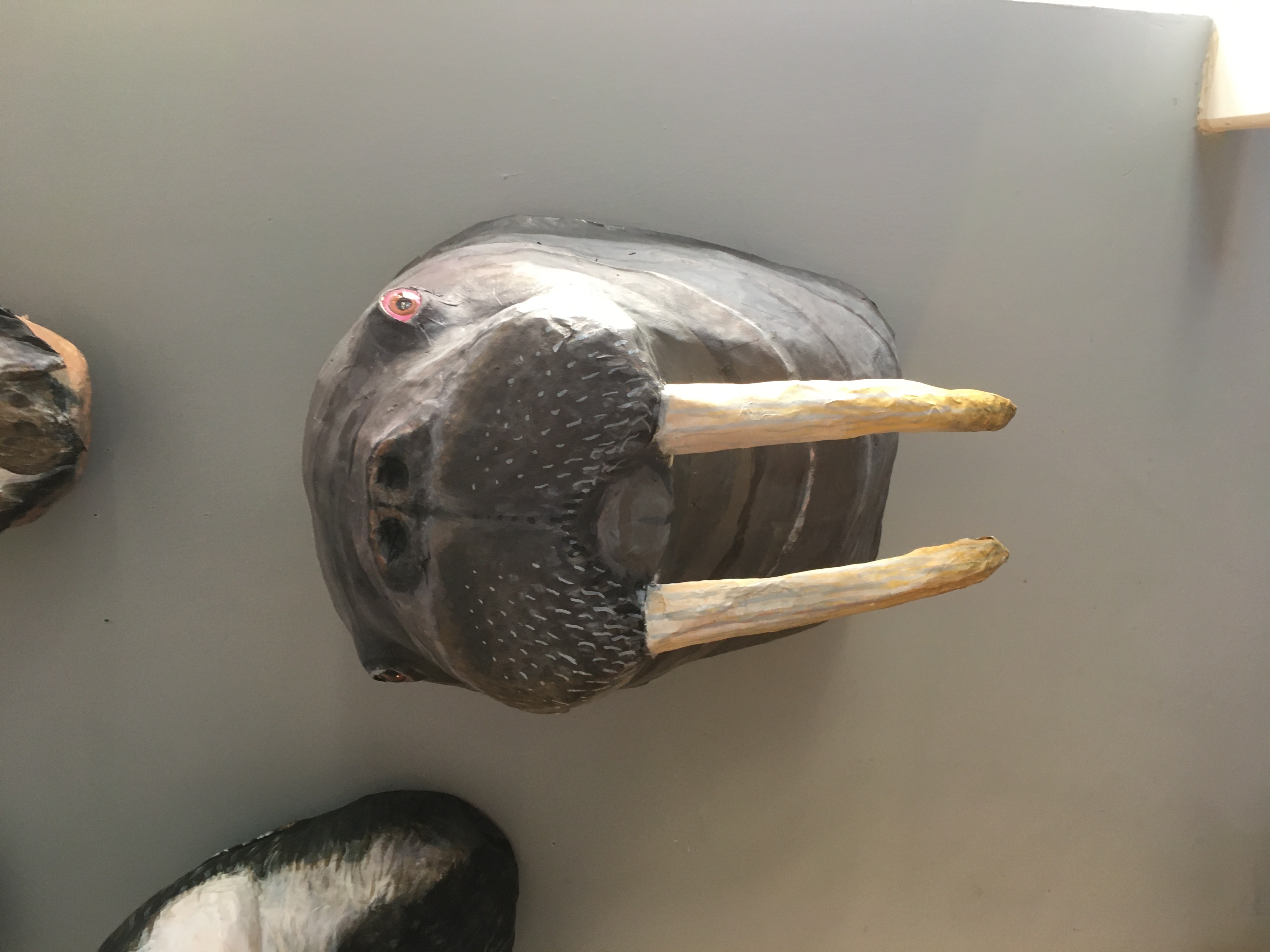 Paper Mache Walrus Head 