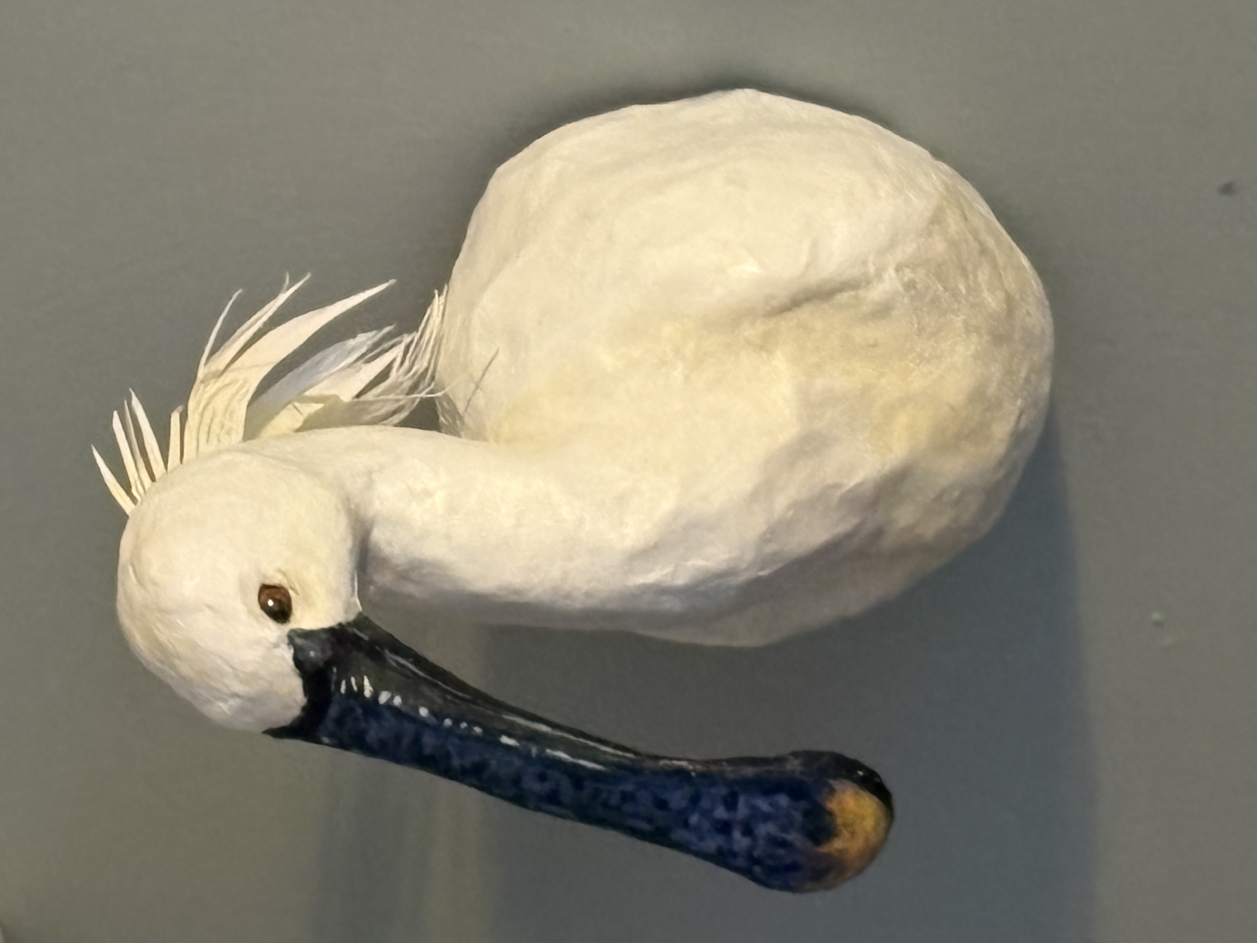 Spoonbill Bird Wall Sculpture