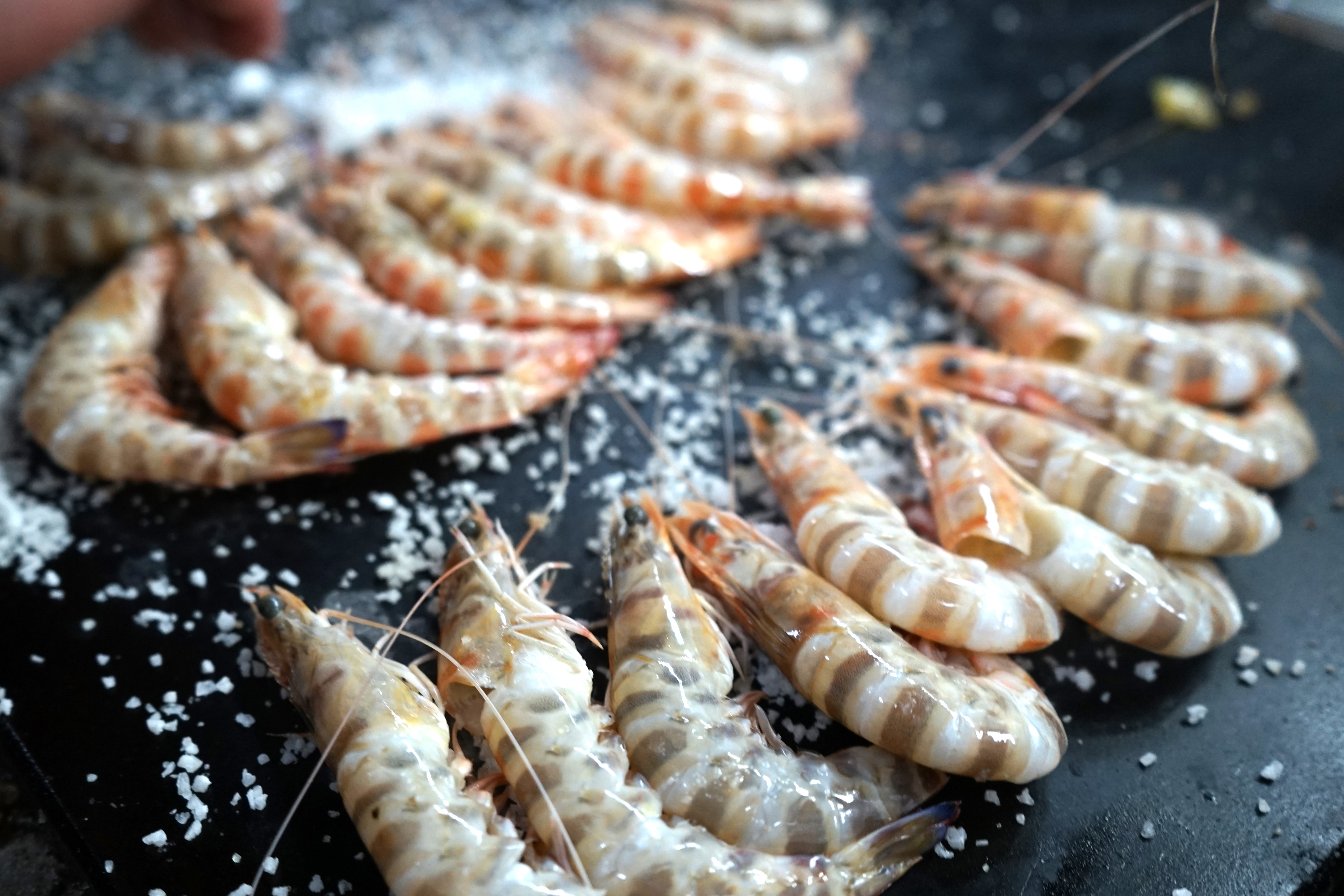 Langostinos de Sanlúcar Cocidos