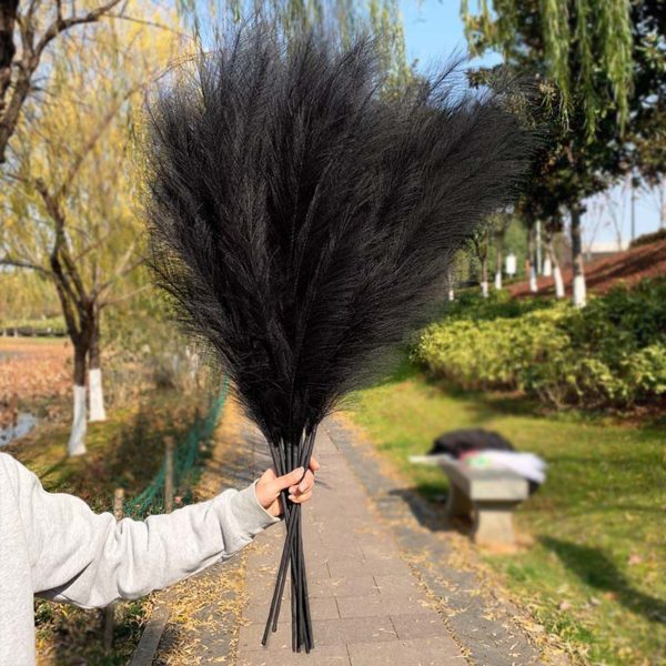 Dried Reeds (Pack of 4)