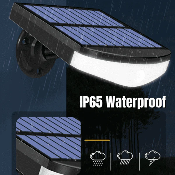 Solar Induction Lamp