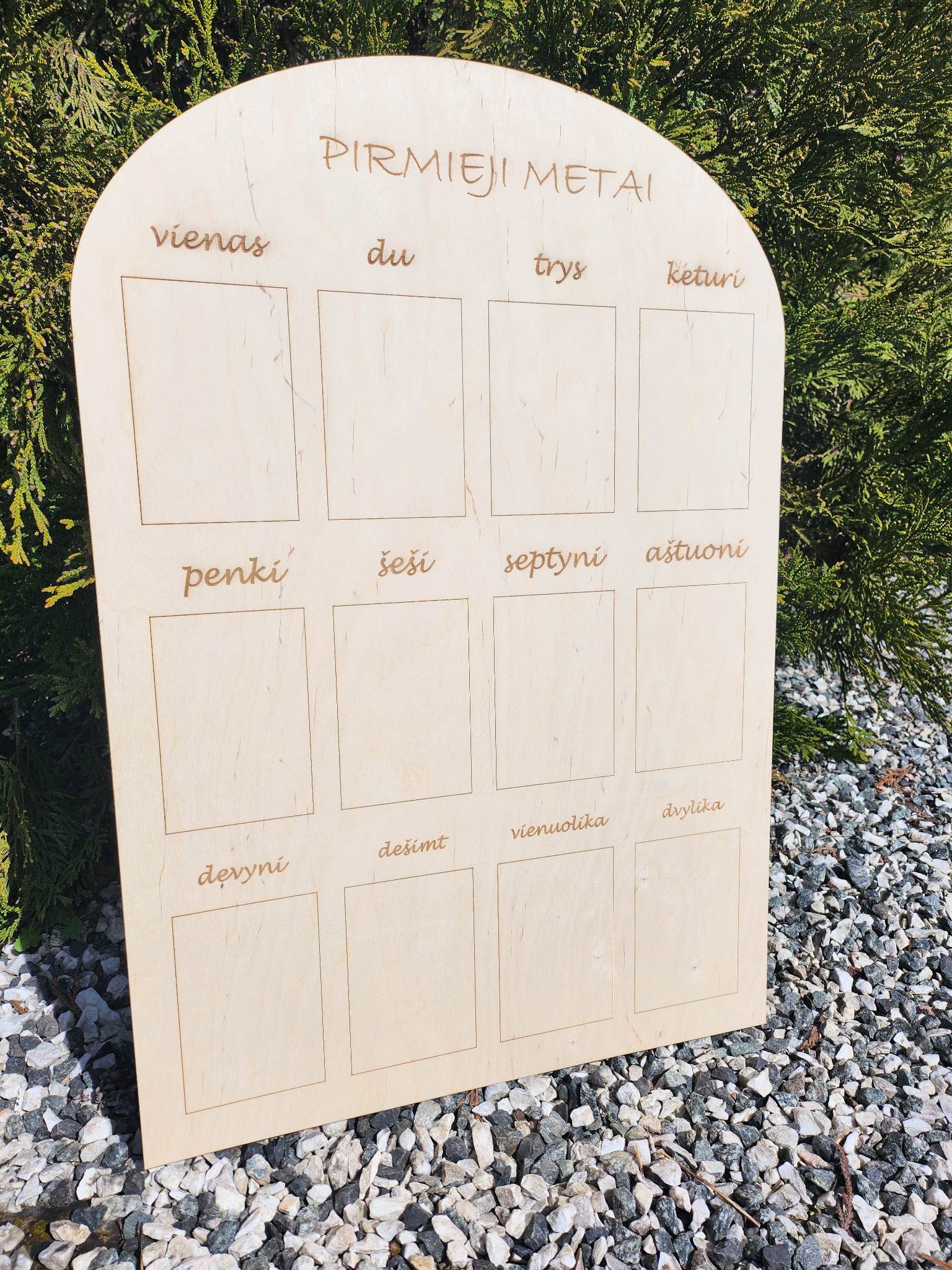 Lentelė ,, Pirmieji metai''