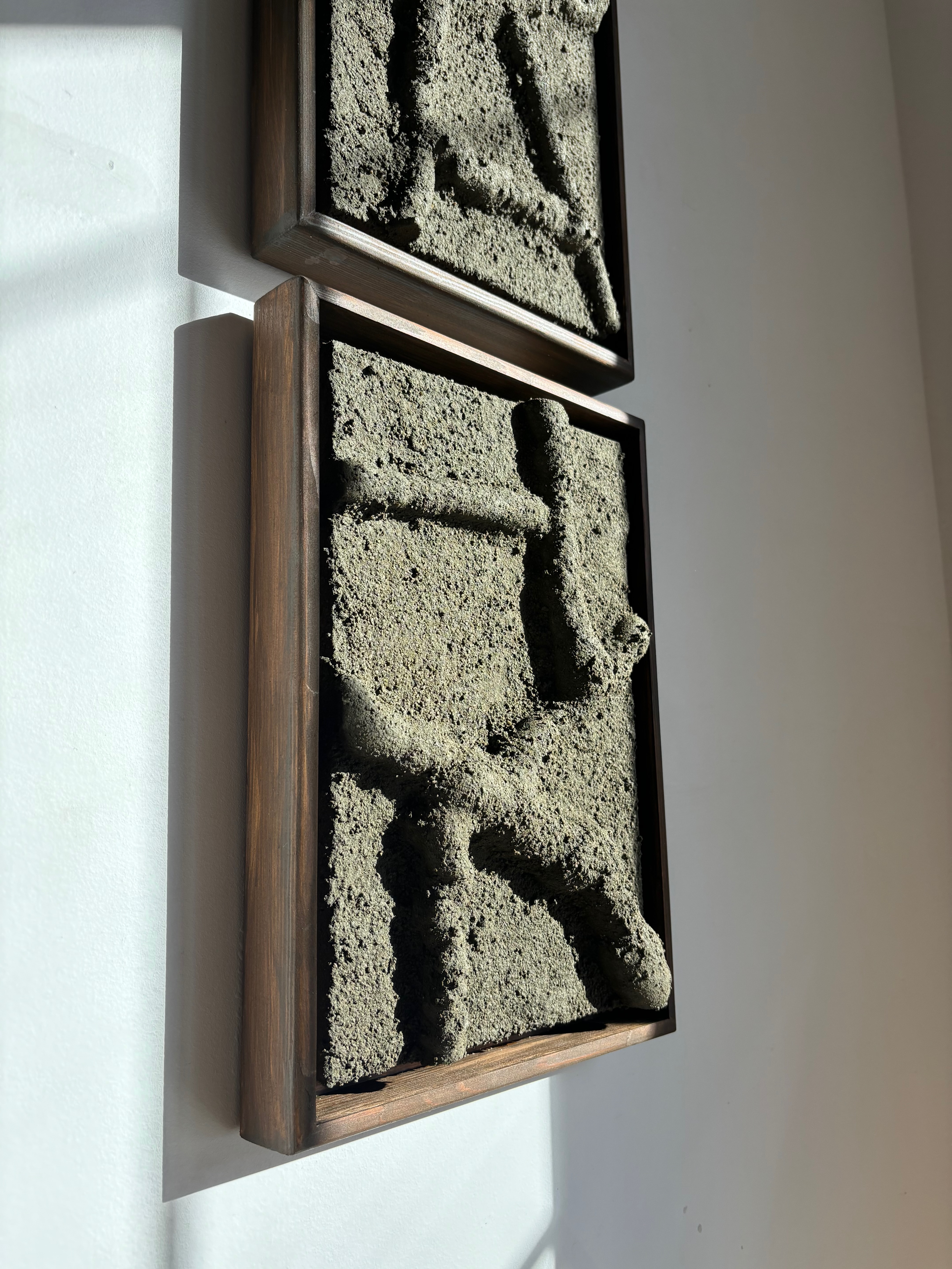 LES ARBRES no1, a set of two