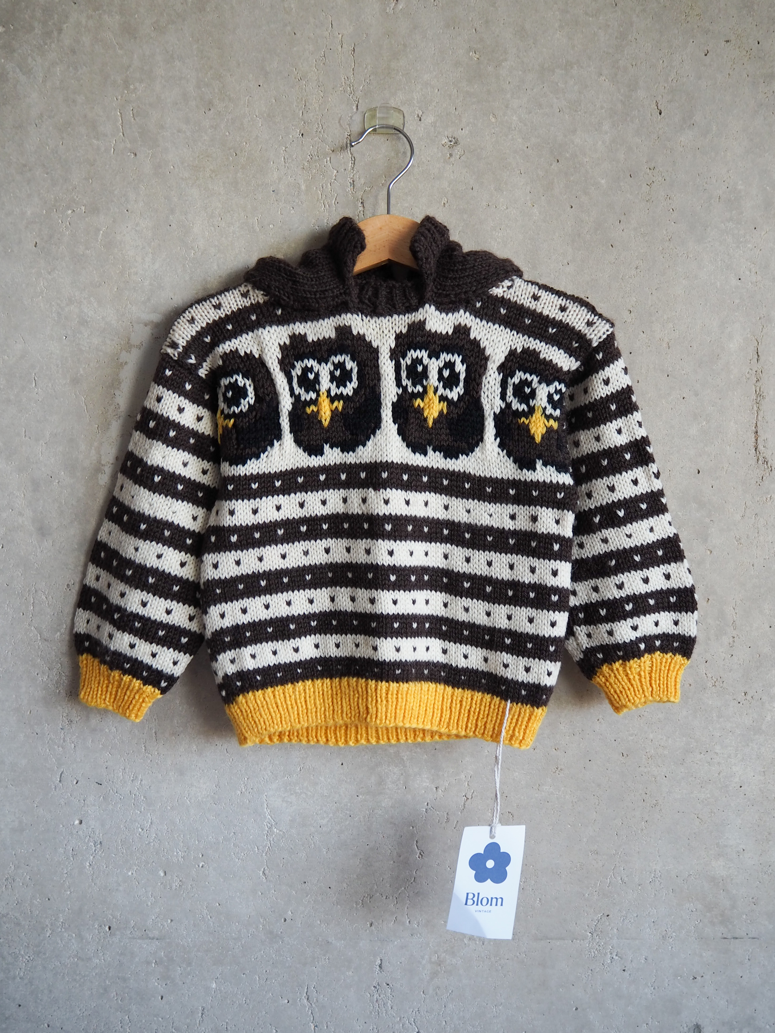 Sweter z kapturem Sowy Wełna