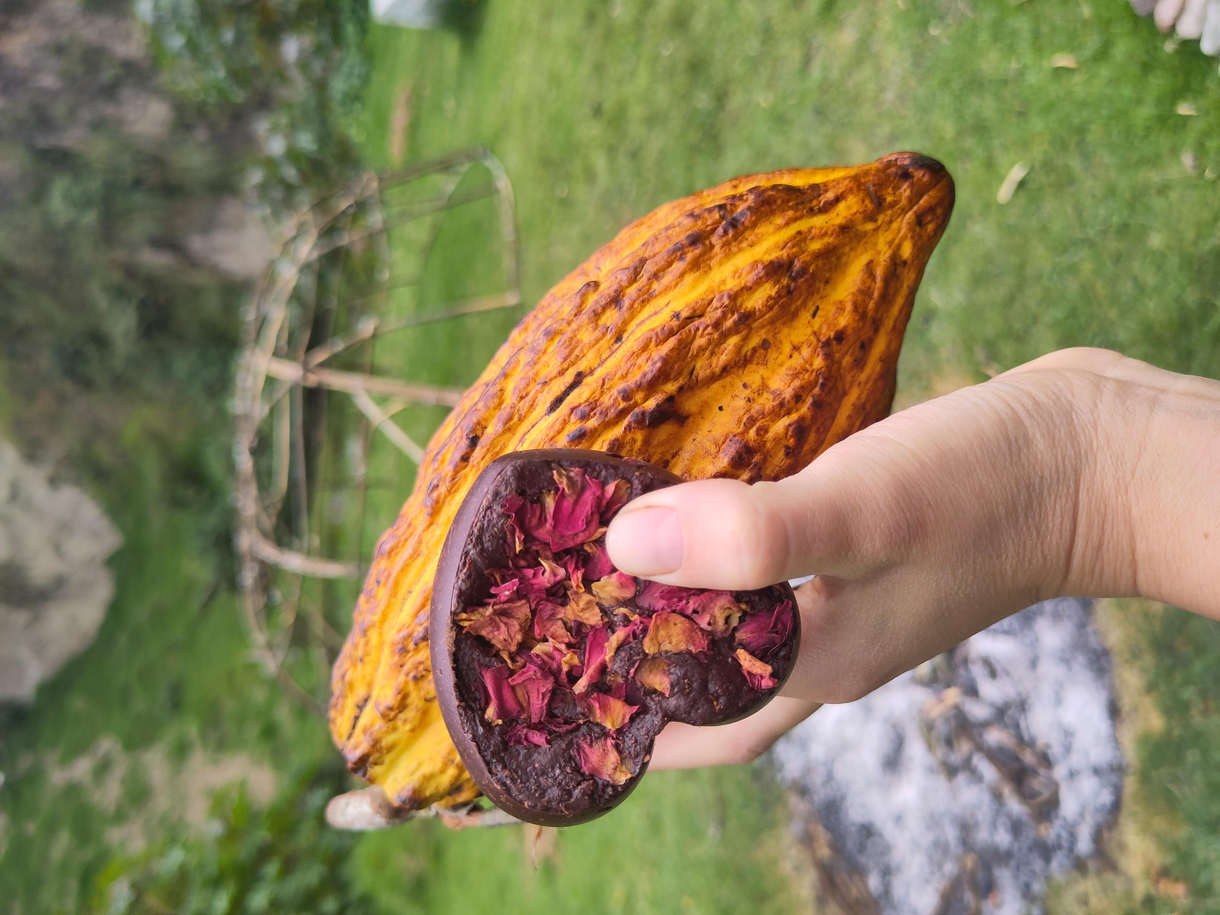 Cacao Art 250g
