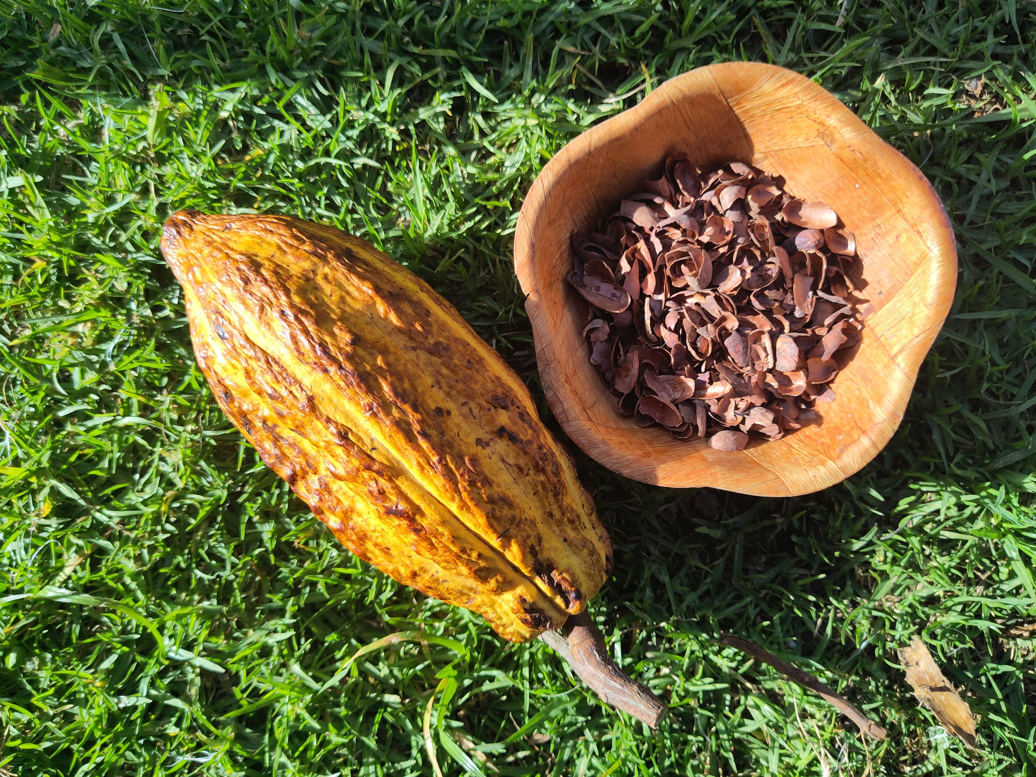 Cacao Husk, Fire Roasted. 100g, 200g or 300. Pick below