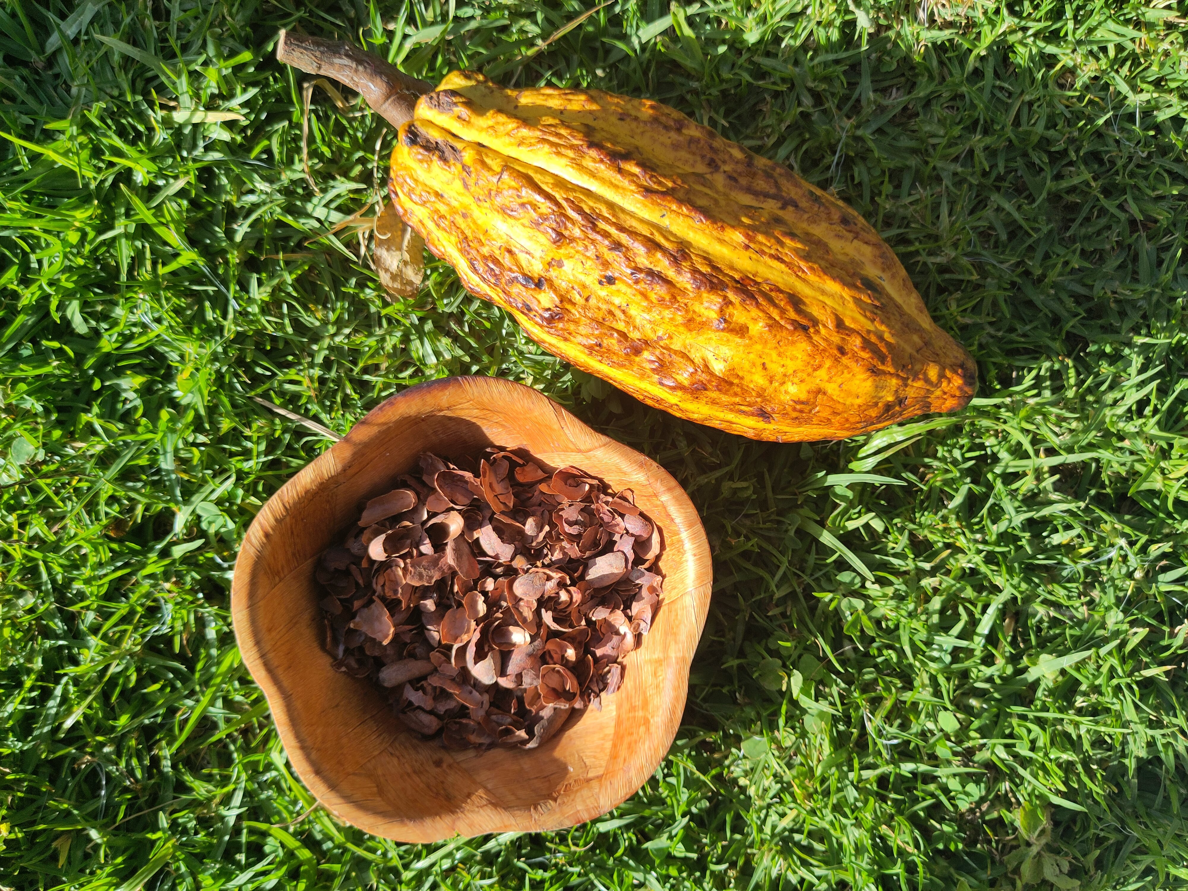 Cacao Husk, Fire Roasted. 100g, 200g or 300. Pick below