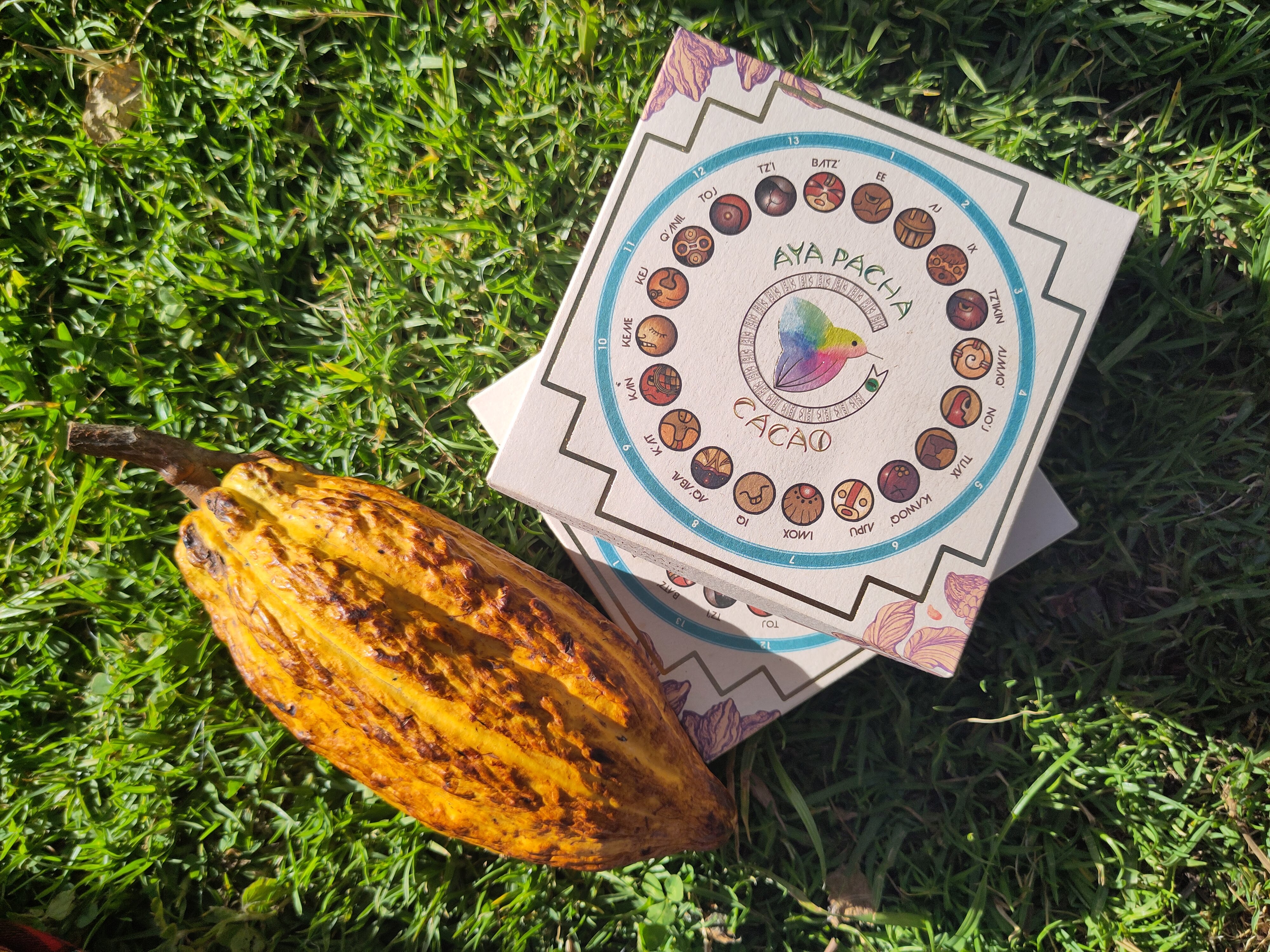 Cacao Paste 500g with Ancient Calendar Box. Next post date: May 2025