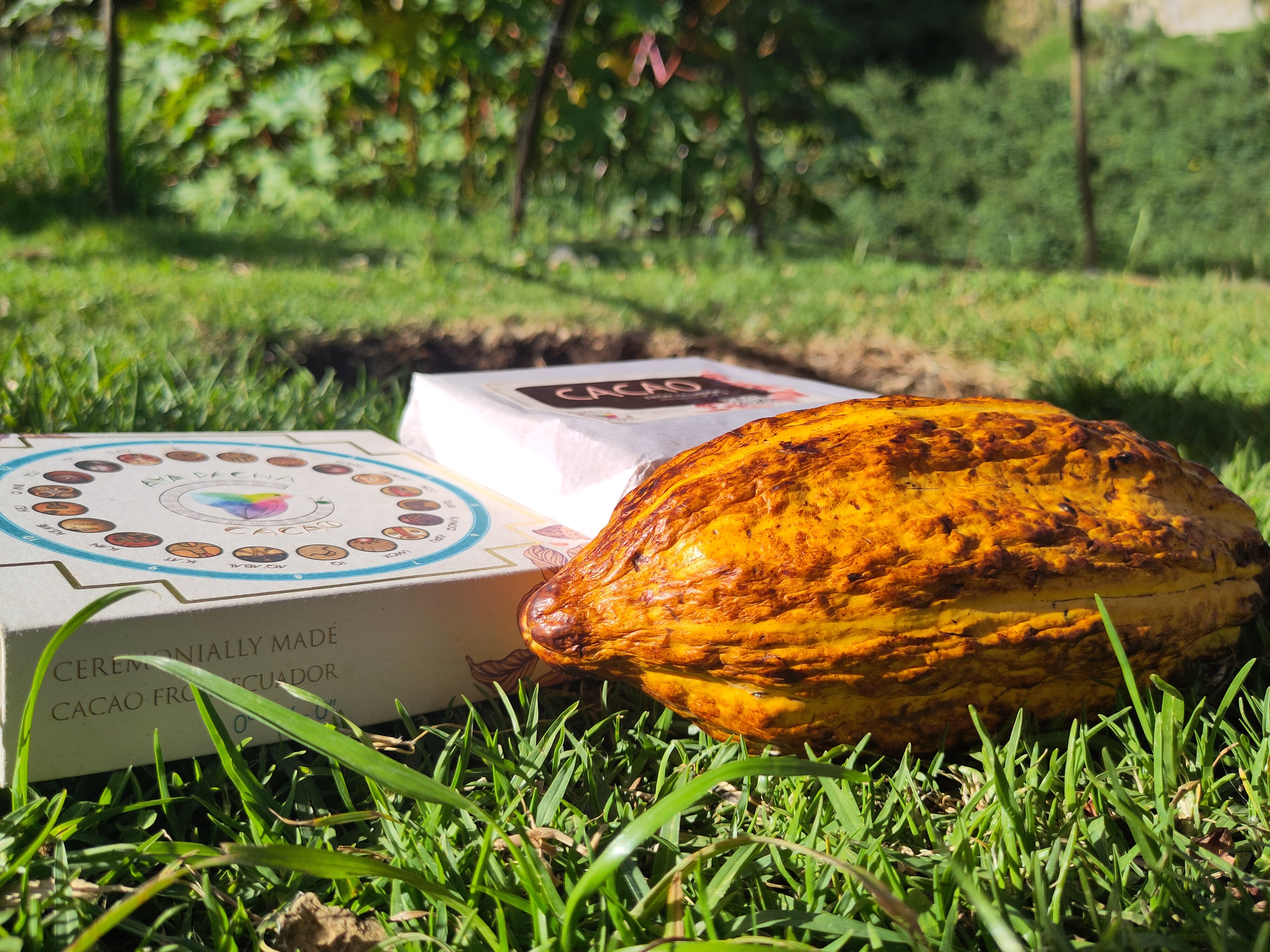 Cacao Paste 500g with Ancient Calendar Box. Next post date: May 2025